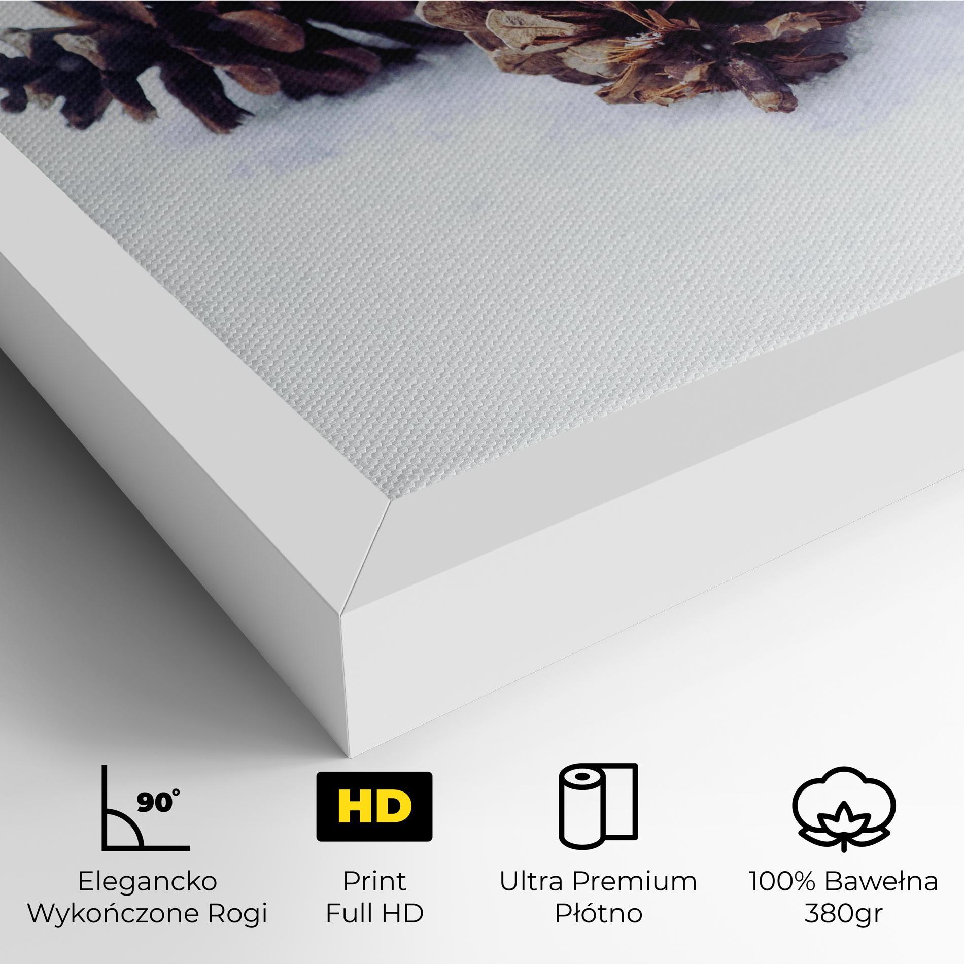 Obraz na Płótnie Snow Cones mockup 4