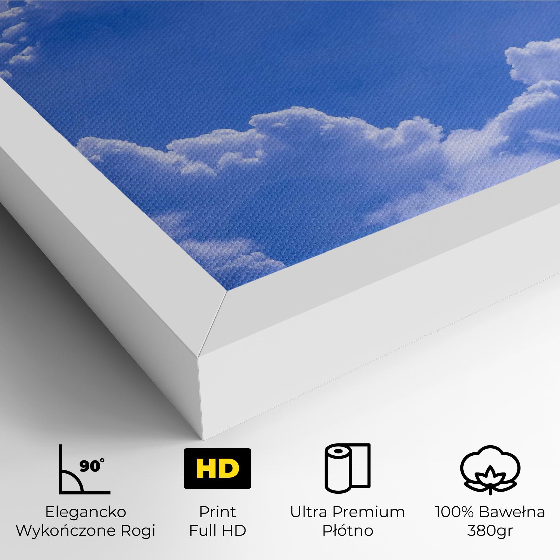 Obraz na Płótnie Big Blue Cloud mockup 4