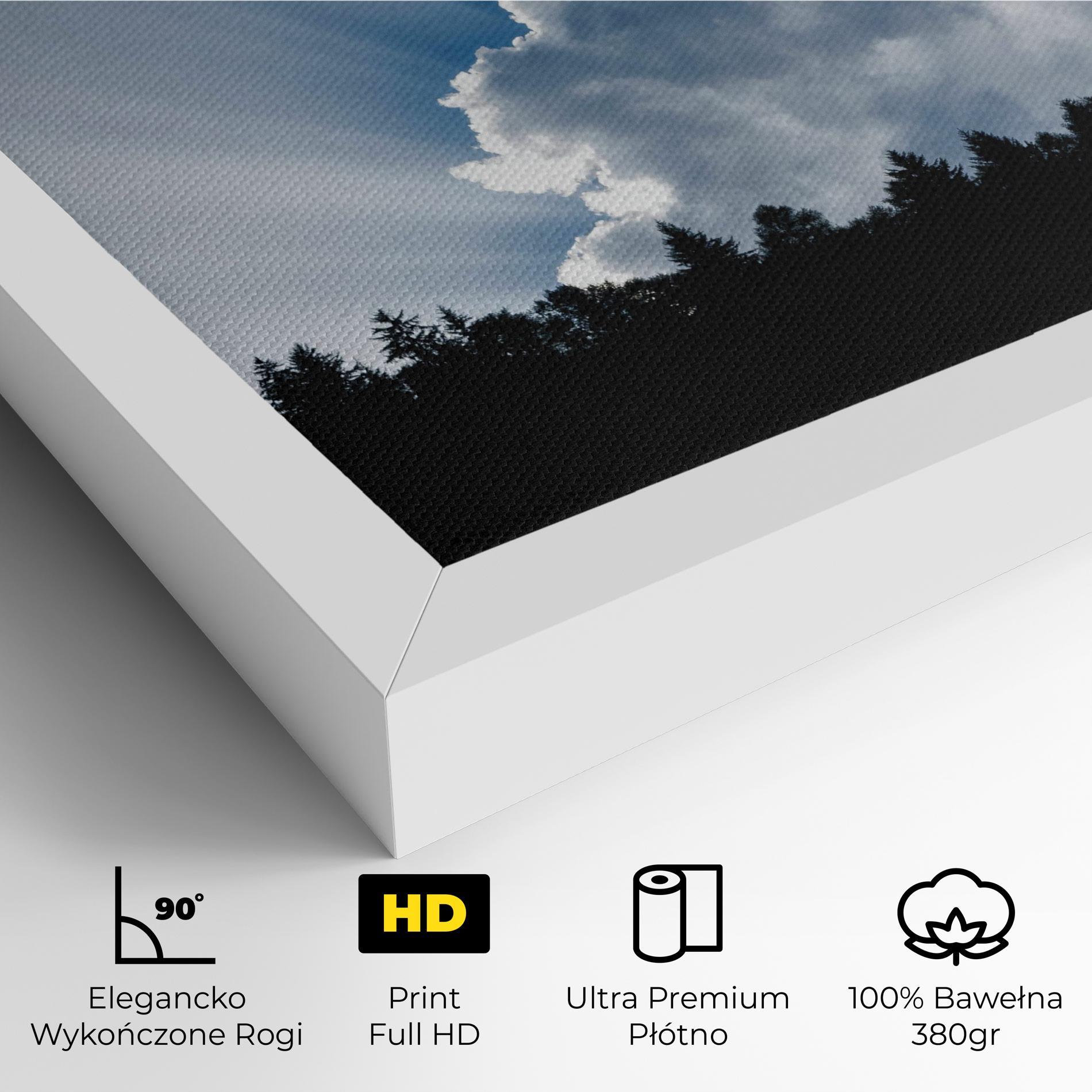 Obraz na Płótnie Big White Cloud Light mockup 4