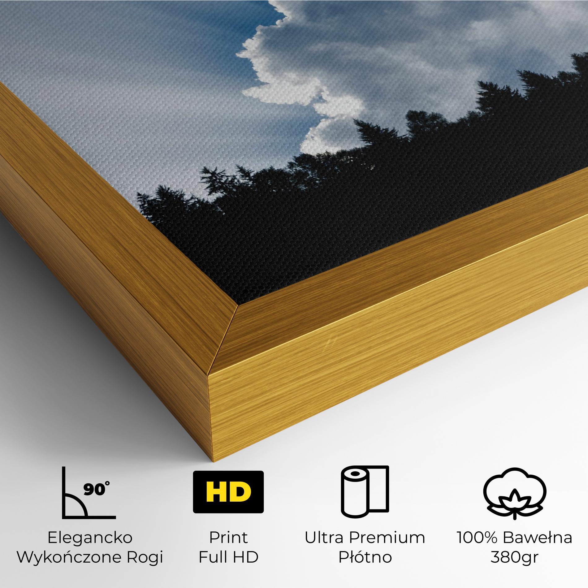 Obraz na Płótnie Big White Cloud Light mockup 4