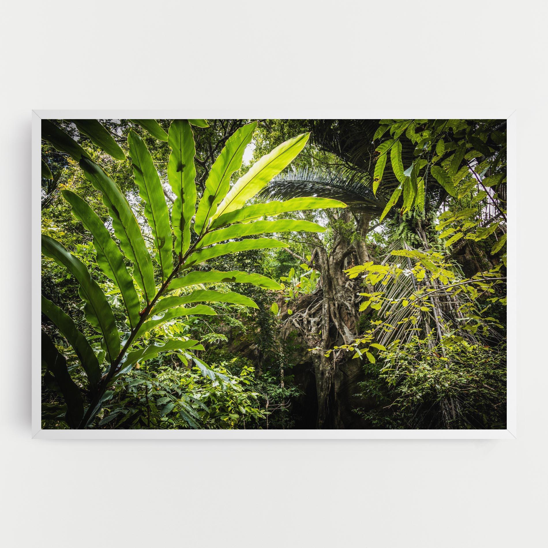 Obraz na Płótnie Big Leaf Forest mockup 0