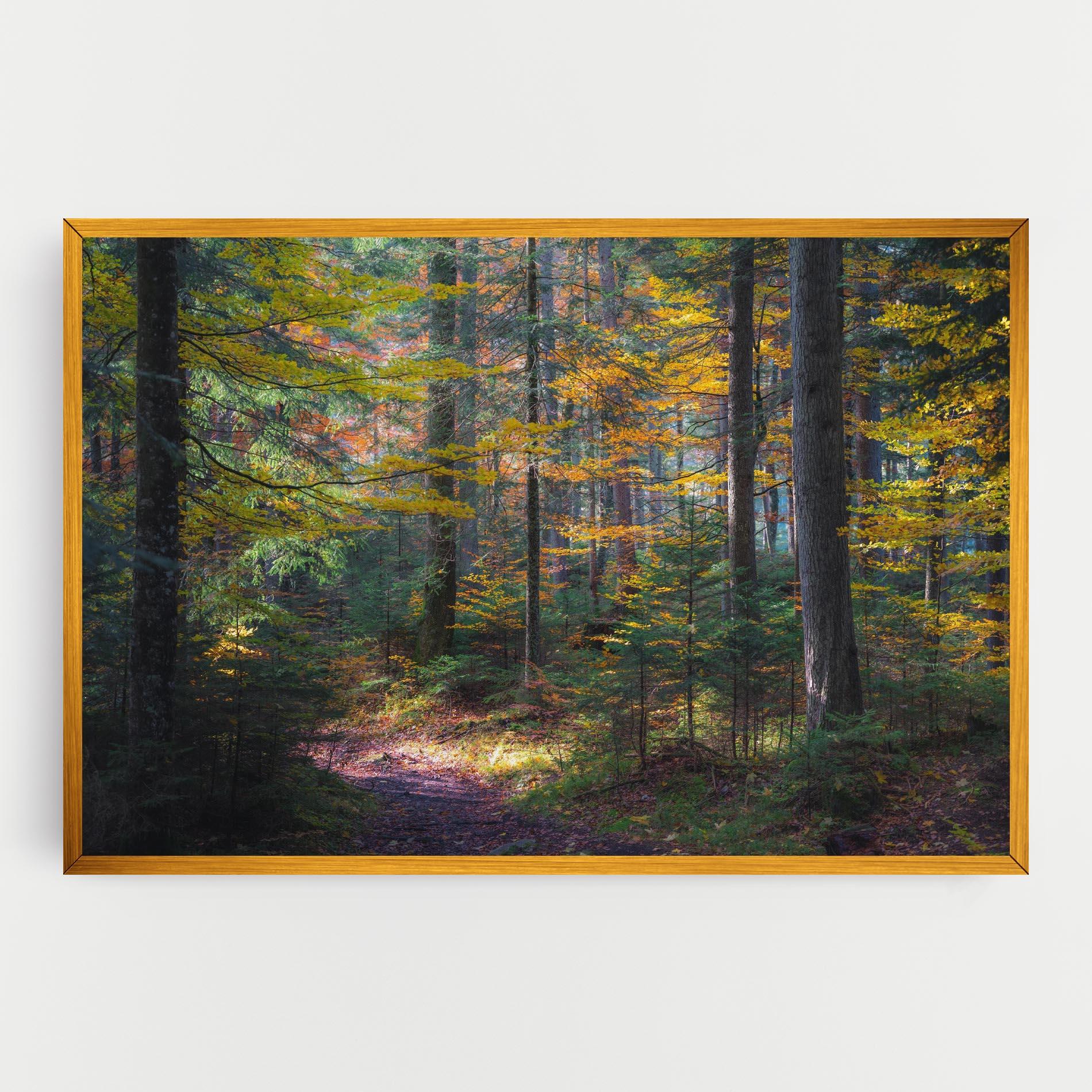 Obraz na Płótnie Dreamy Path Dorest mockup 0