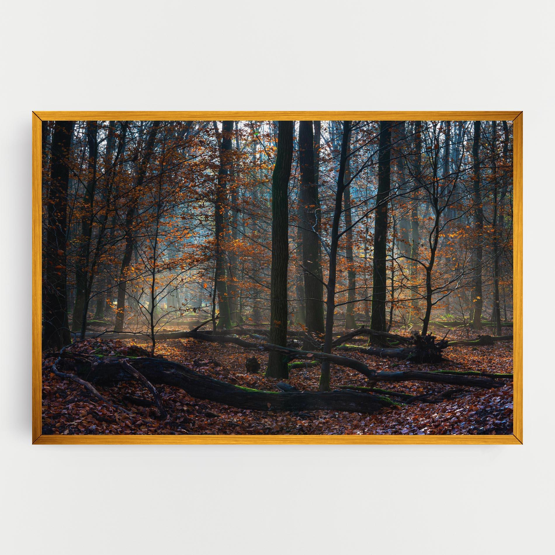Obraz na Płótnie Forest Autumn Day mockup 0