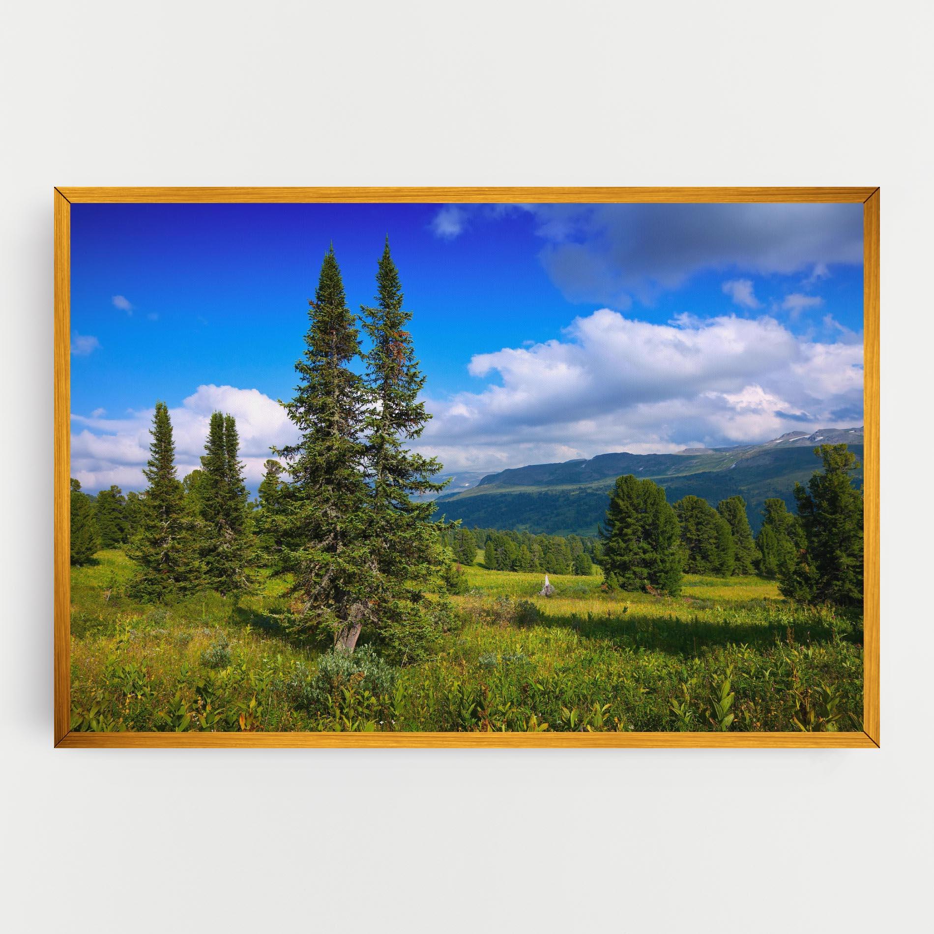 Obraz na Płótnie Morning Sunny Field mockup 0