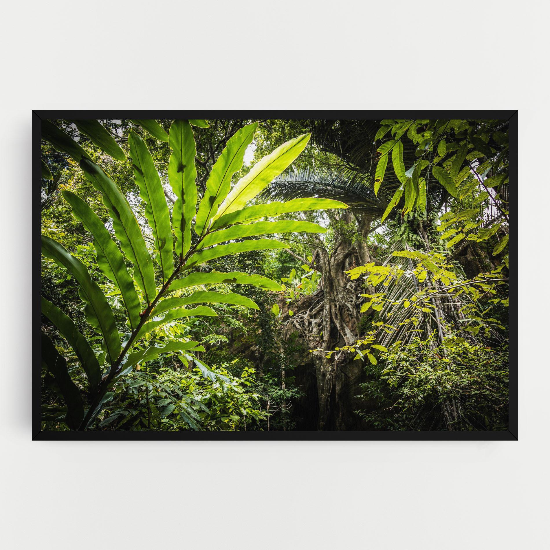 Obraz na Płótnie Big Leaf Forest mockup 0