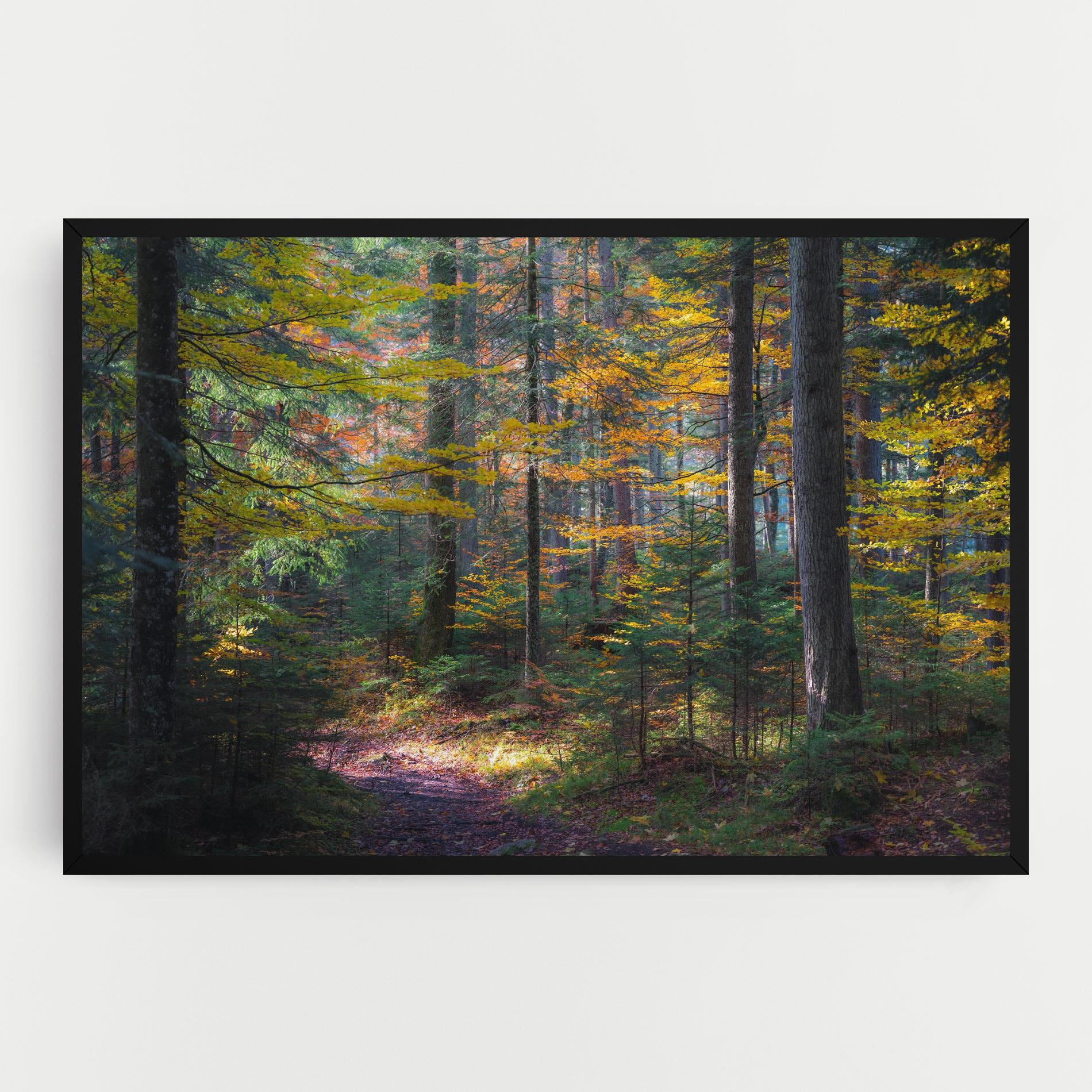 Obraz na Płótnie Dreamy Path Dorest mockup 0