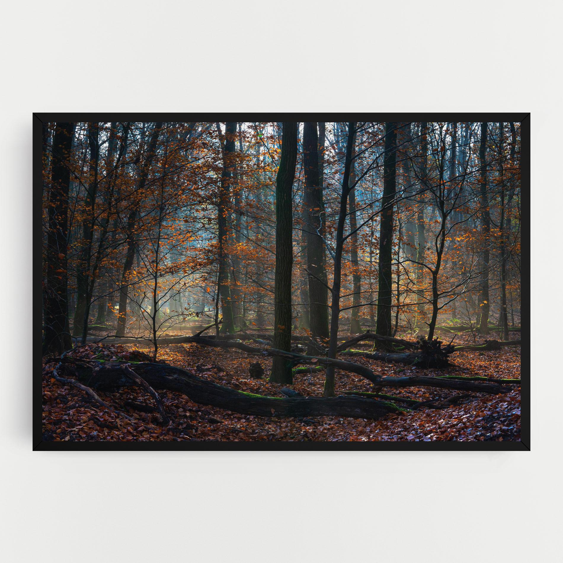 Obraz na Płótnie Forest Autumn Day mockup 0