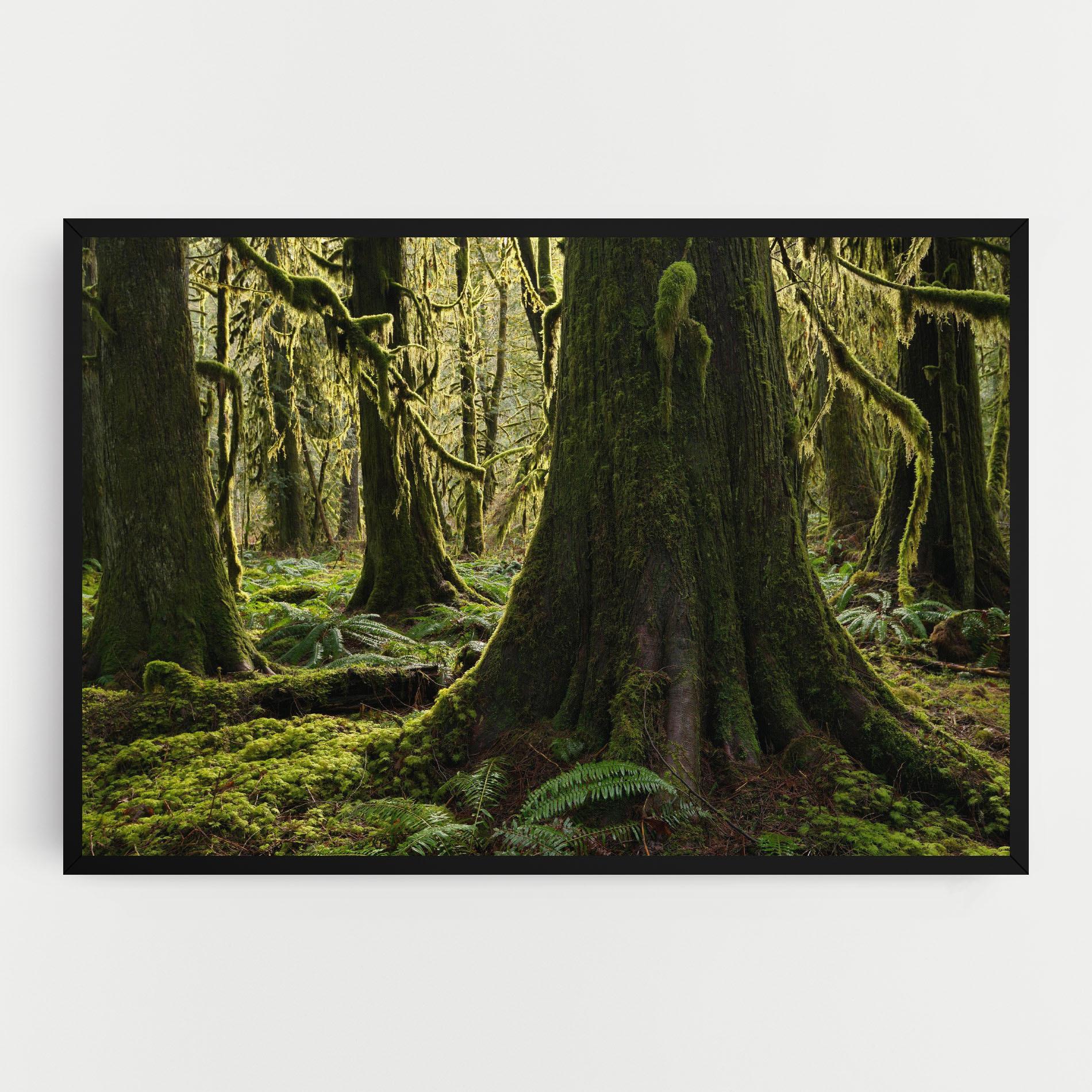 Obraz na Płótnie Green Moss Forest mockup 0