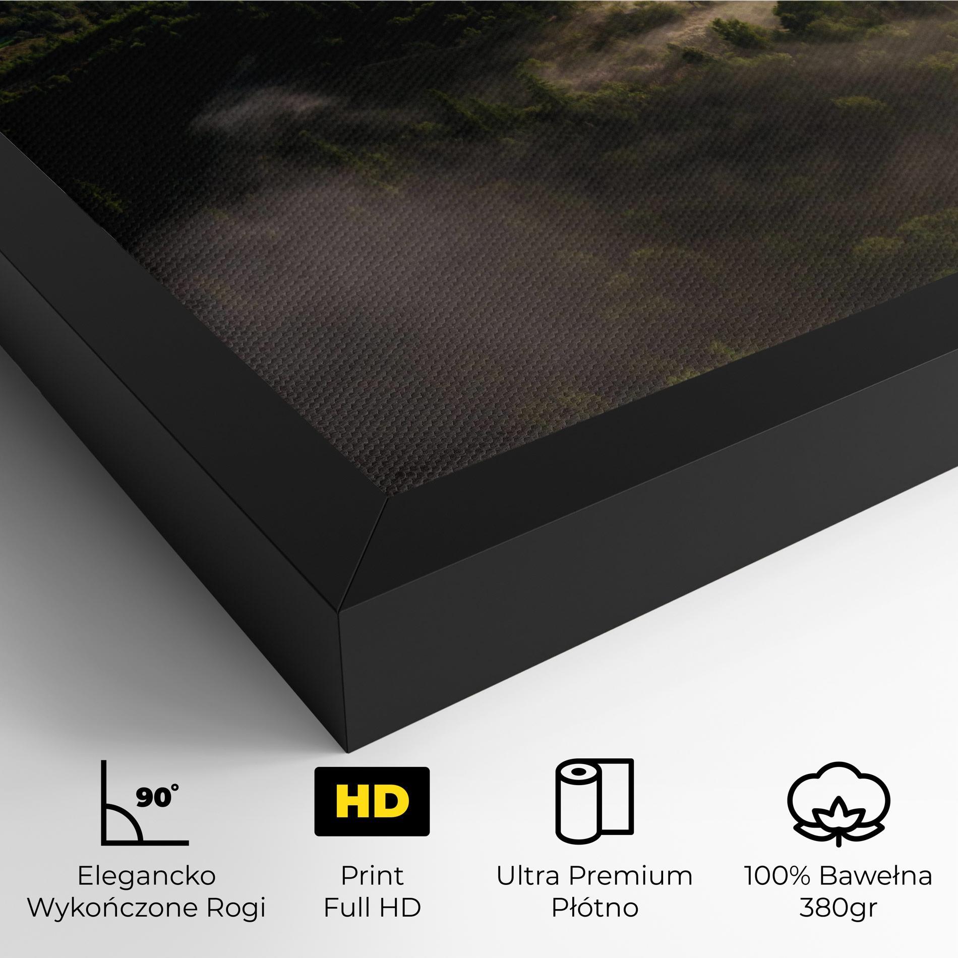 Obraz na Płótnie Foggy Forest View mockup 4