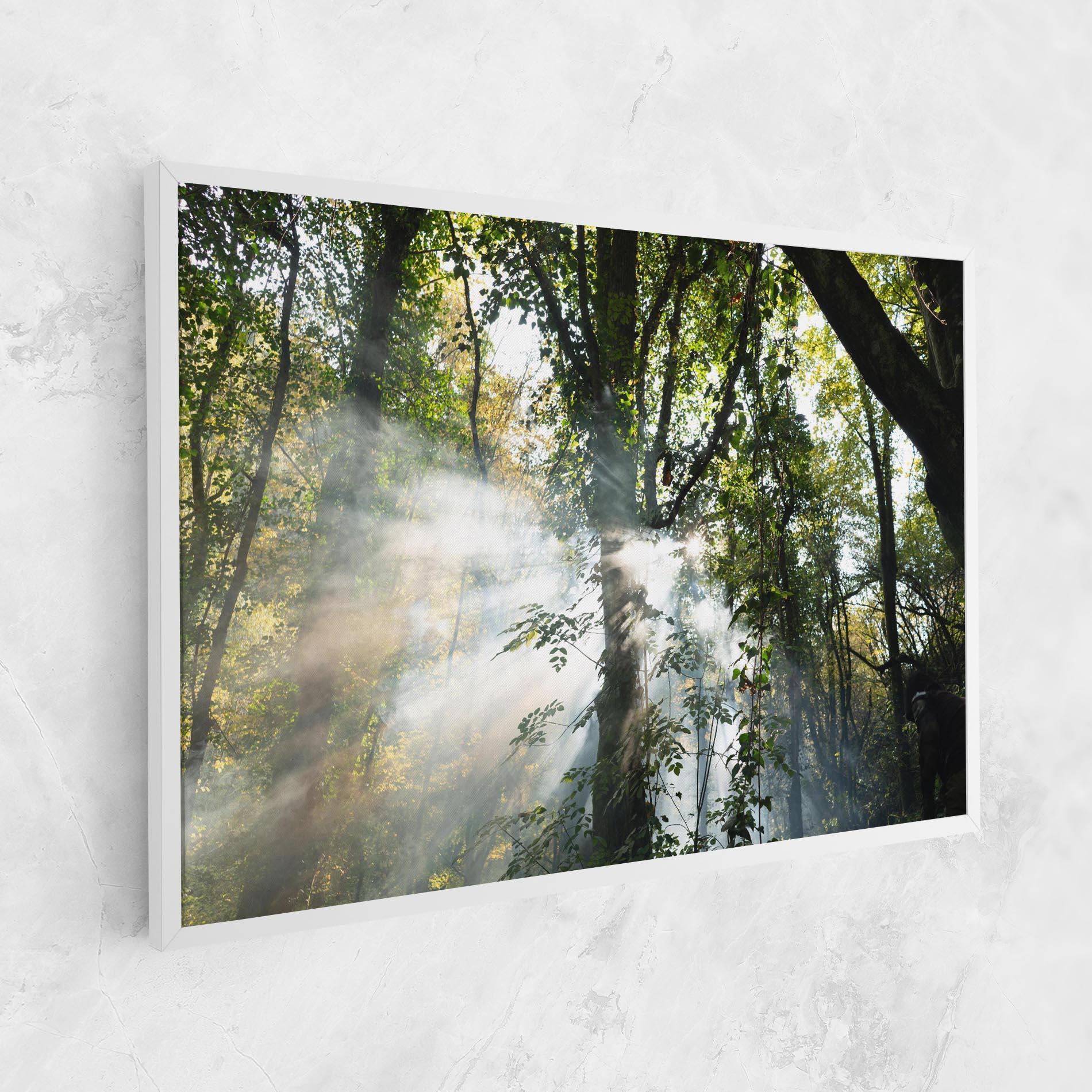 Obraz na Płótnie Foggy Light Forest mockup 1