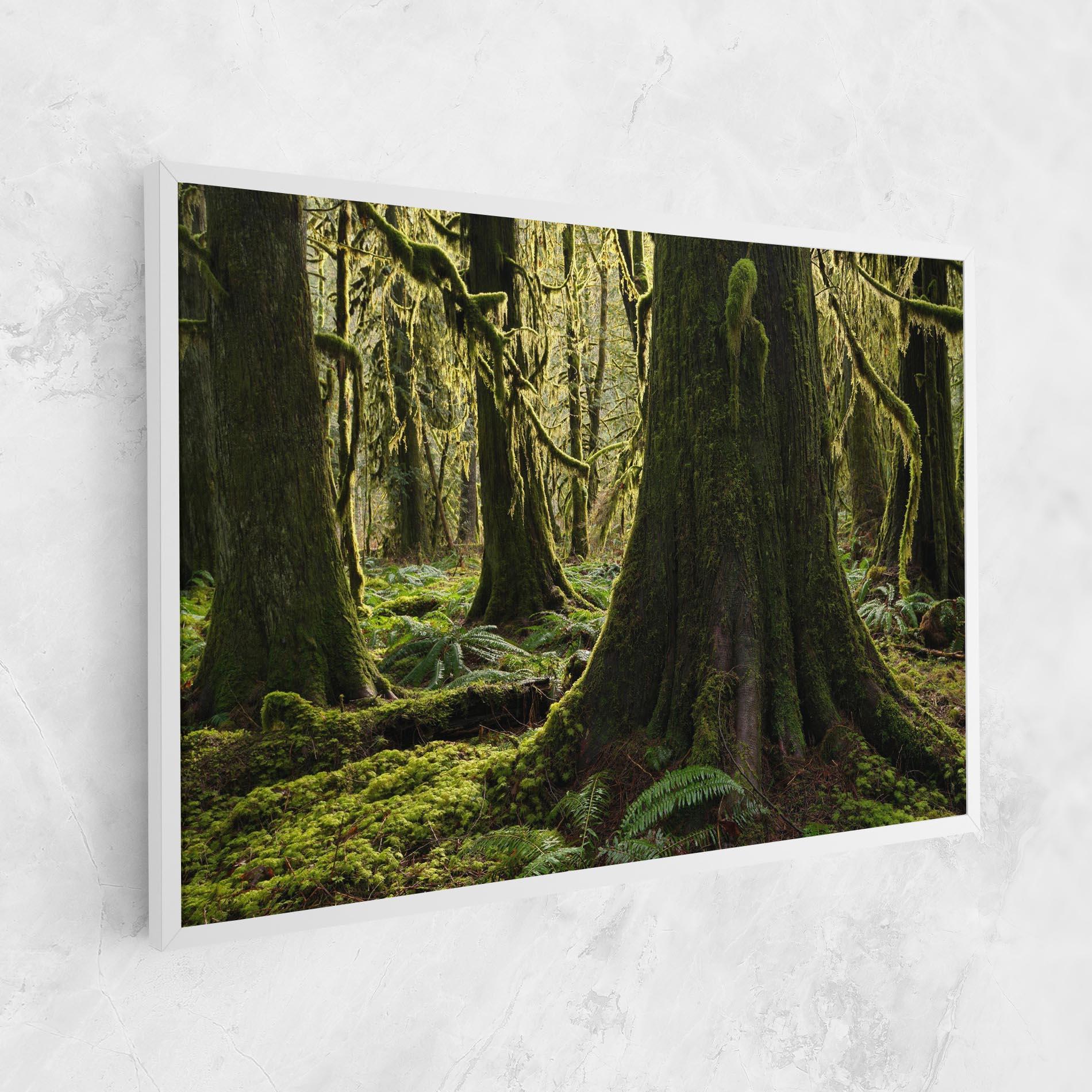 Obraz na Płótnie Green Moss Forest mockup 1