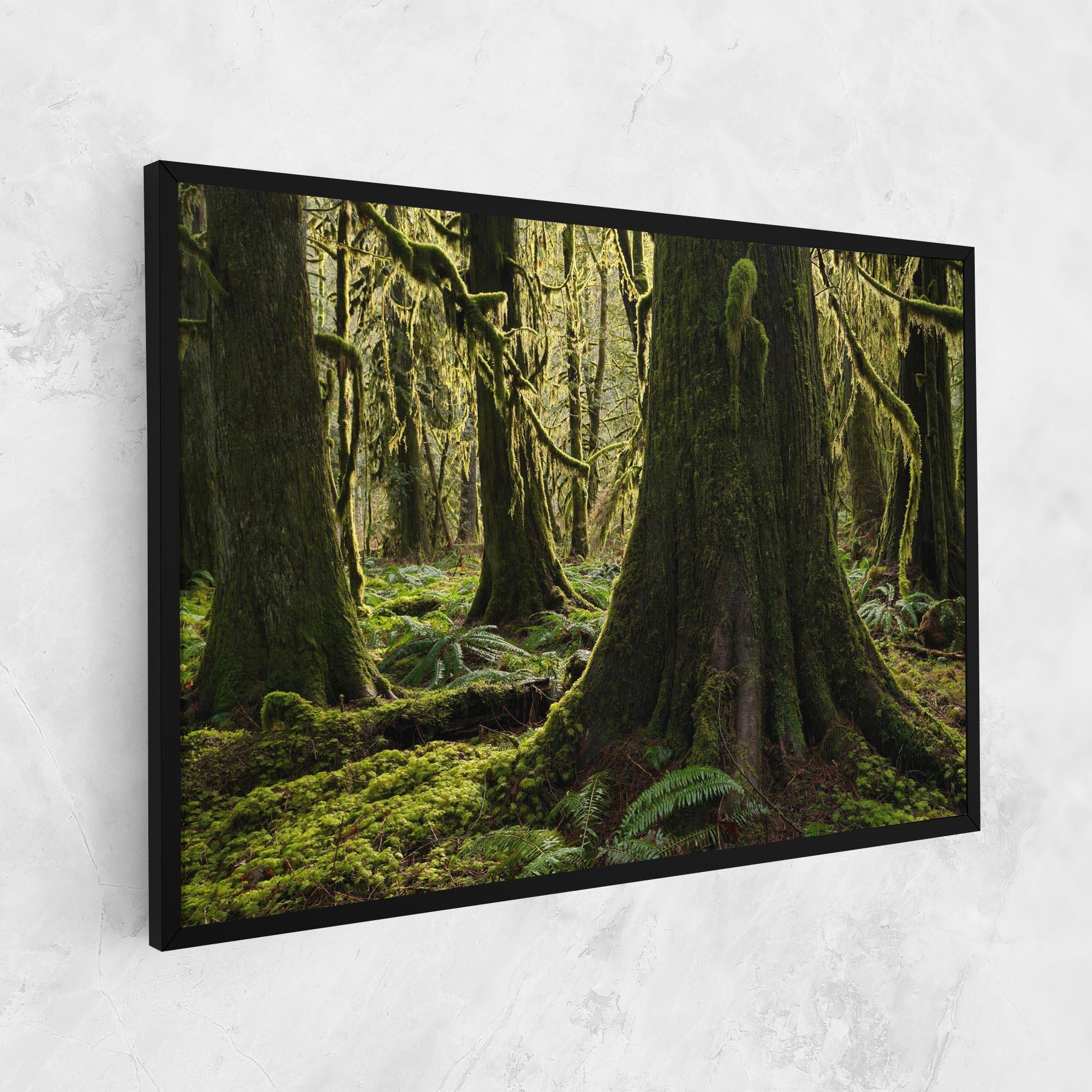 Obraz na Płótnie Green Moss Forest mockup 1