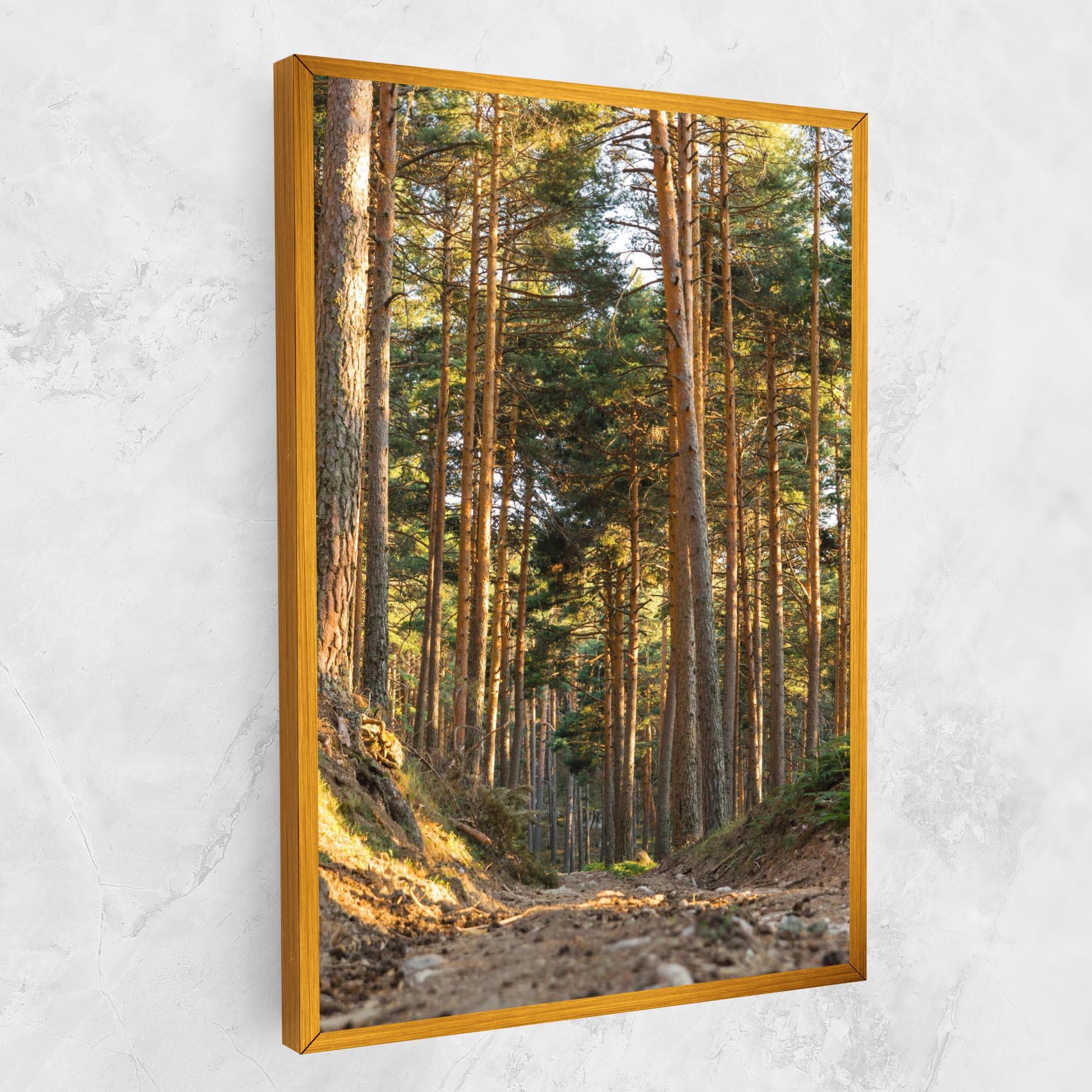 Obraz na Płótnie Big Trees Forest mockup 1