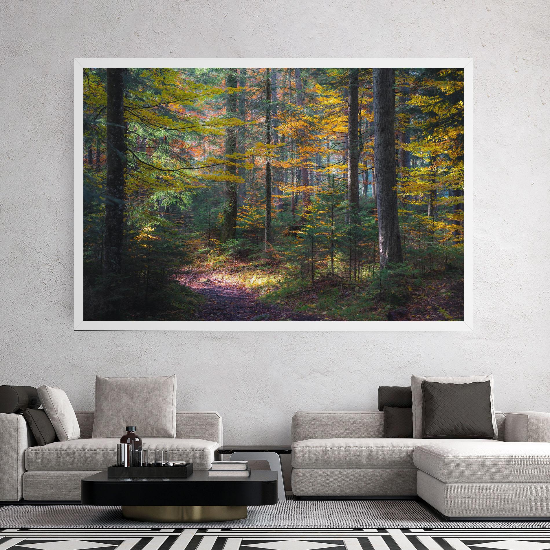 Obraz na Płótnie Dreamy Path Dorest mockup 2