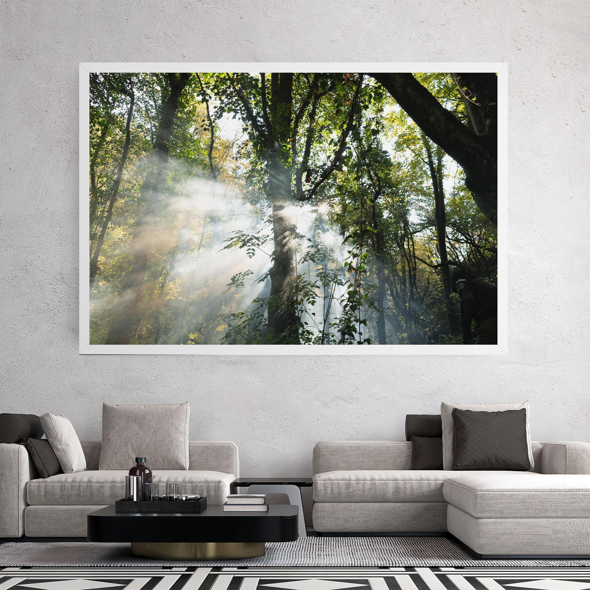 Obraz na Płótnie Foggy Light Forest mockup 2