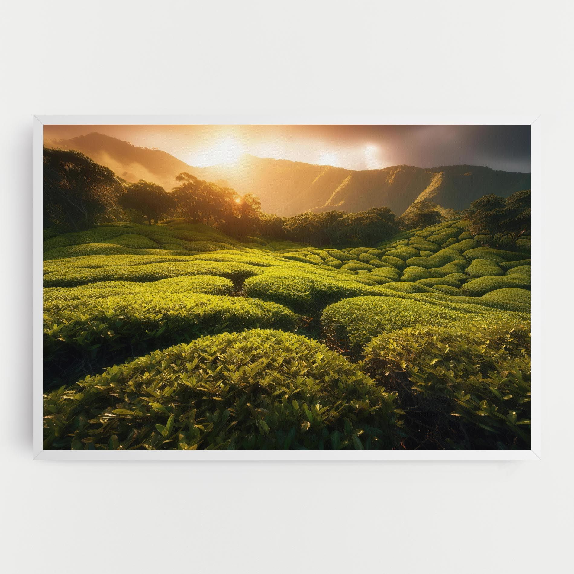 Tea Fields mockup 0