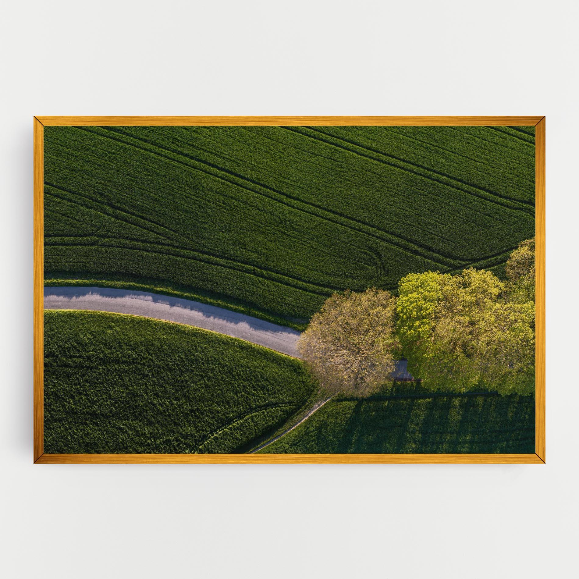 Obraz na Płótnie Green Road mockup 0