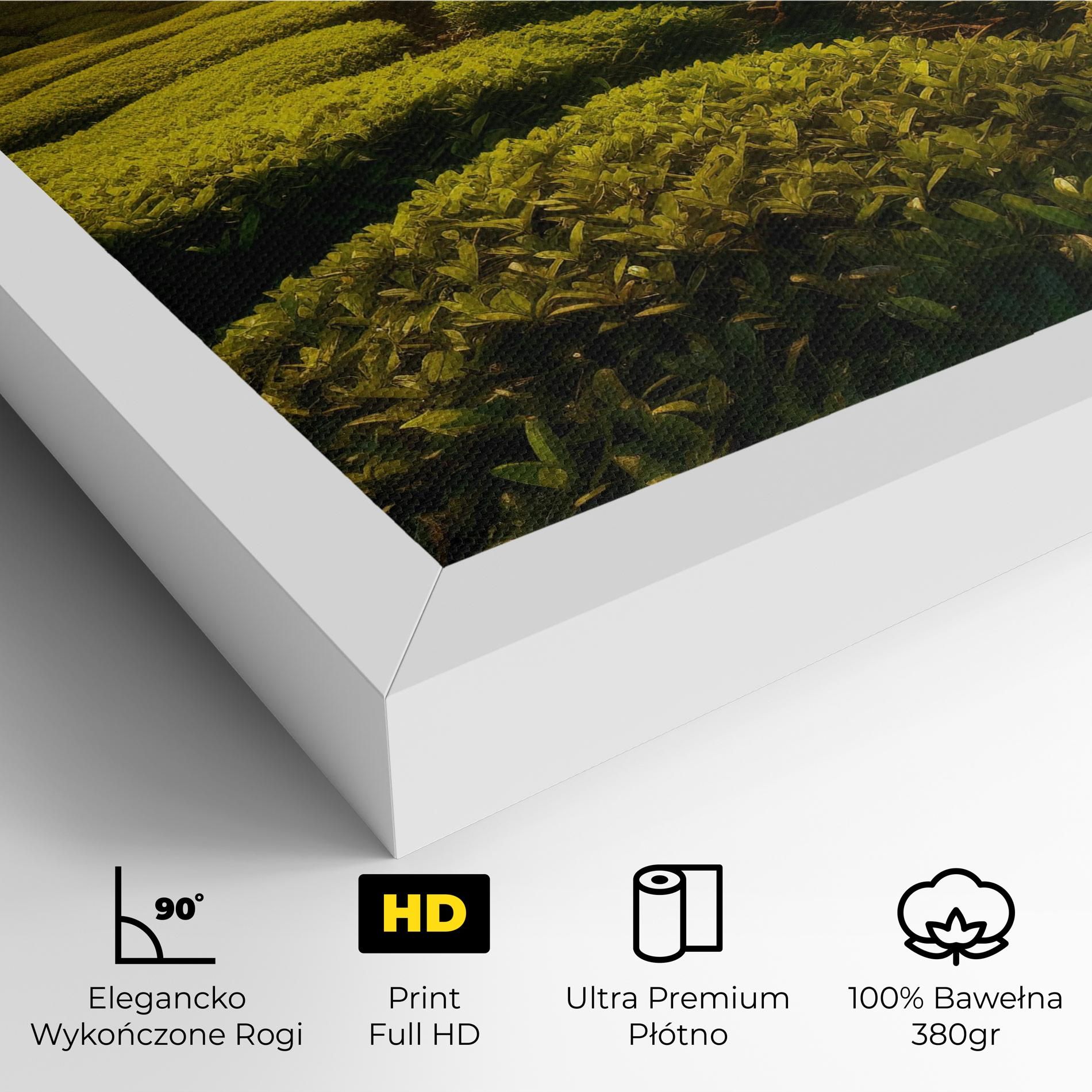 Tea Fields mockup 4