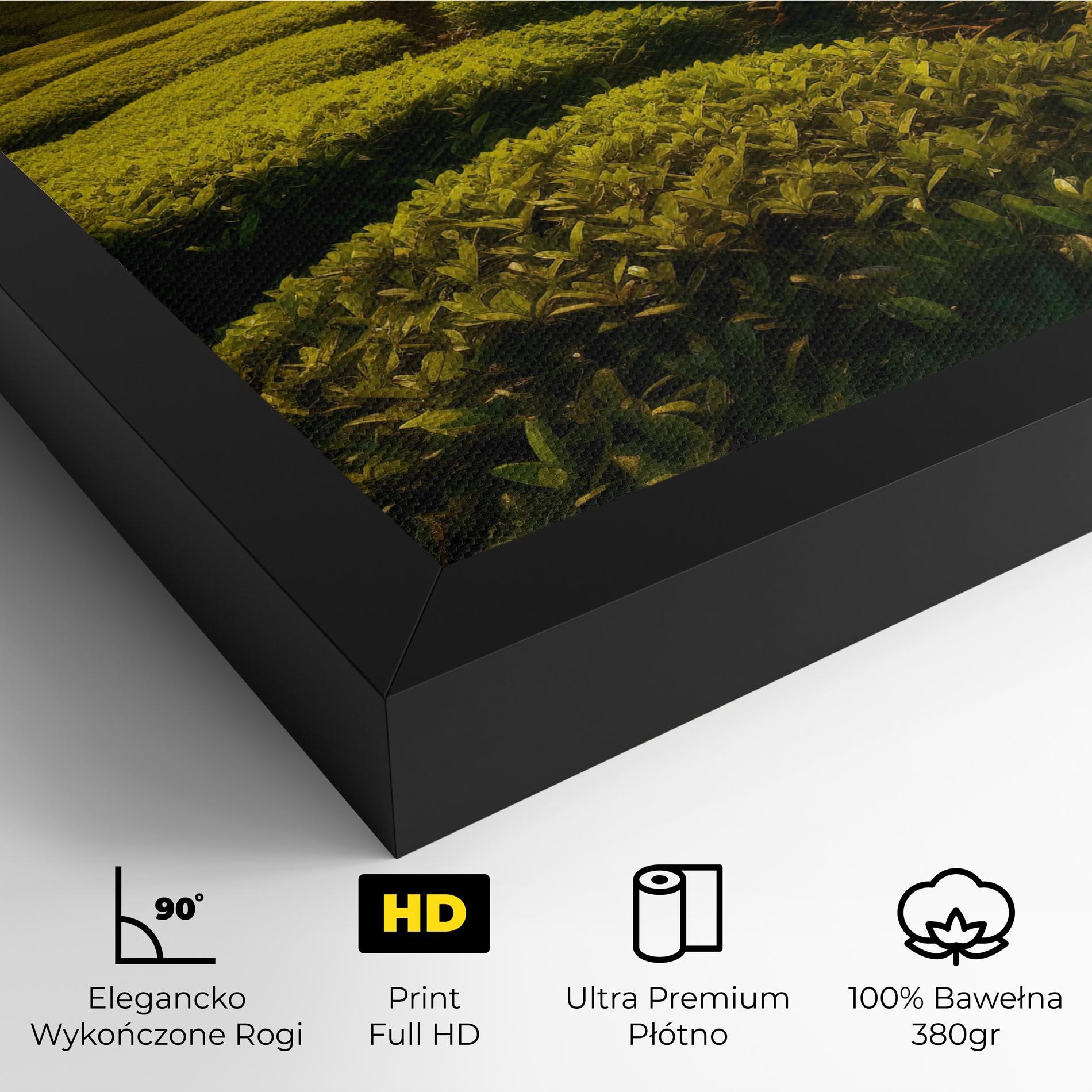 Obraz na Płótnie Tea Fields mockup 4