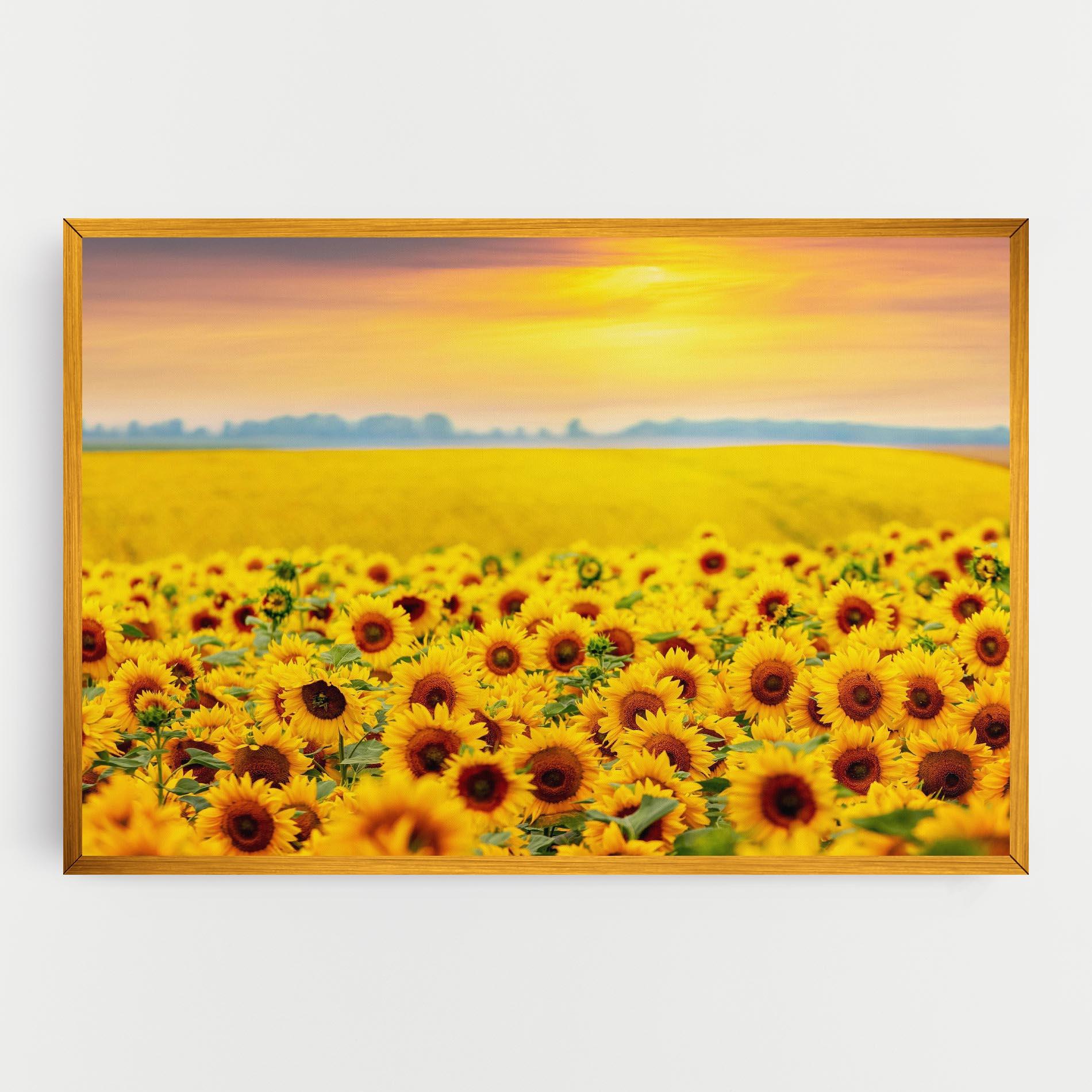 Obraz na Płótnie Yellow Sunflowers mockup 0