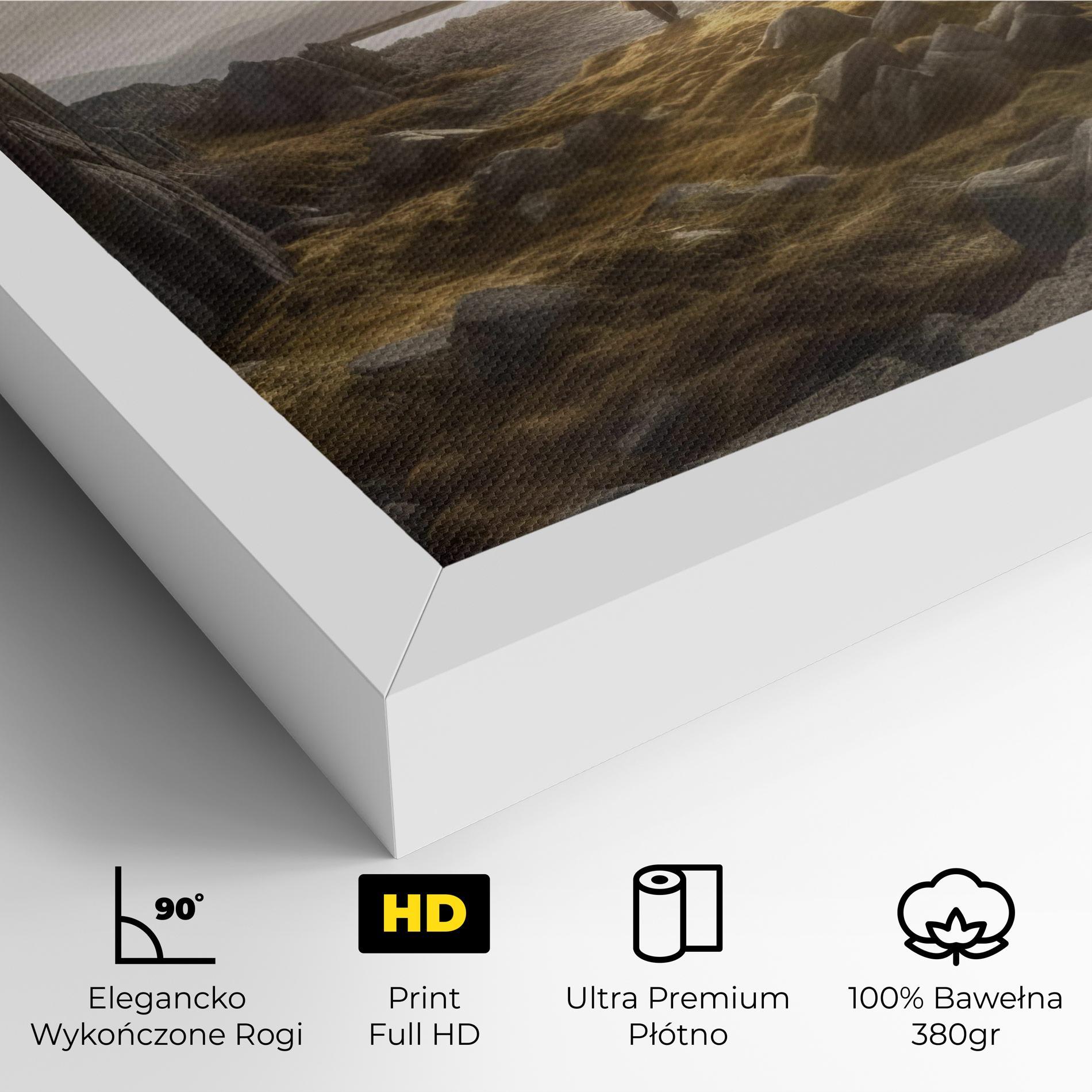 Obraz na Płótnie Rocky Area Man mockup 4