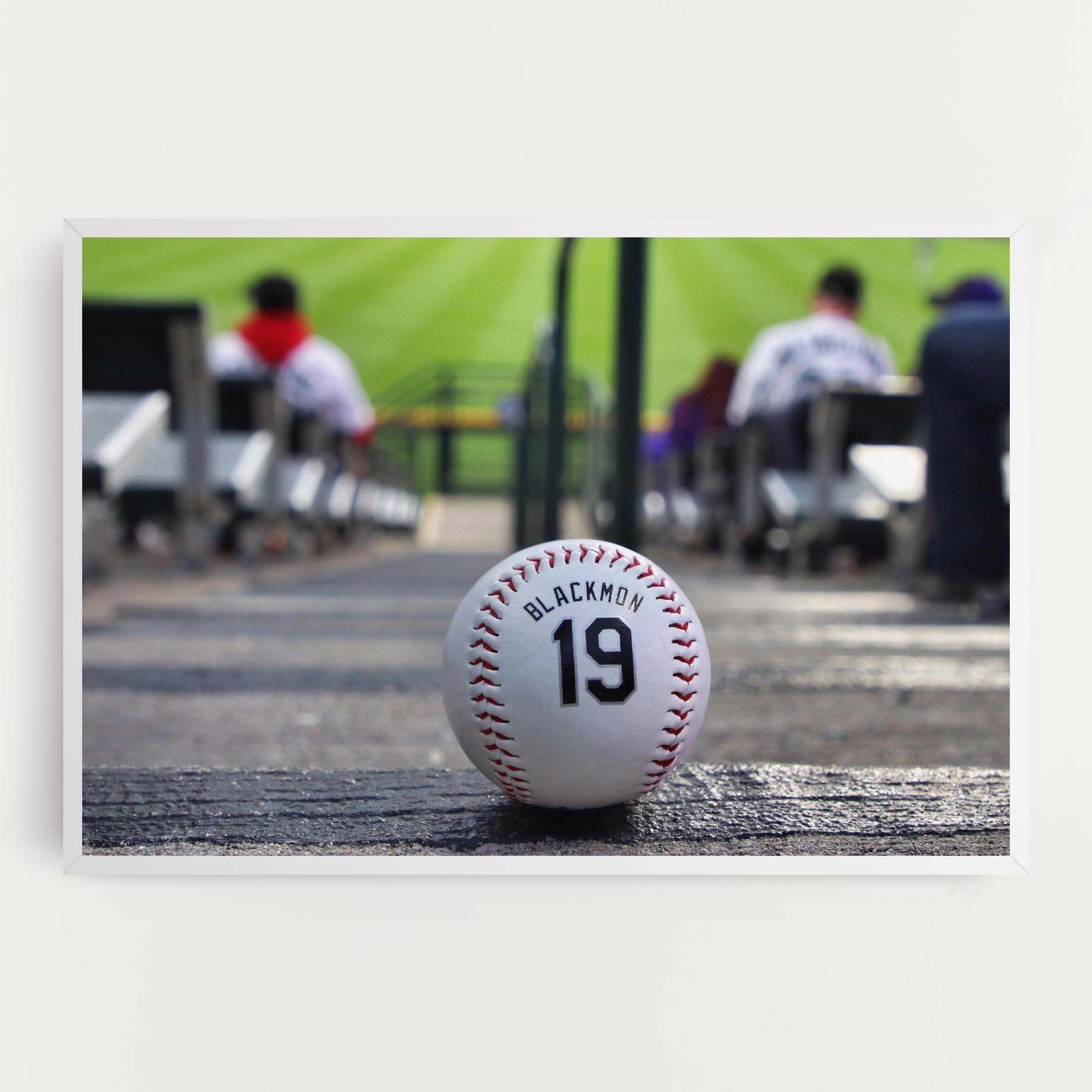 Obraz na Płótnie Baseball Nr 19 mockup 0
