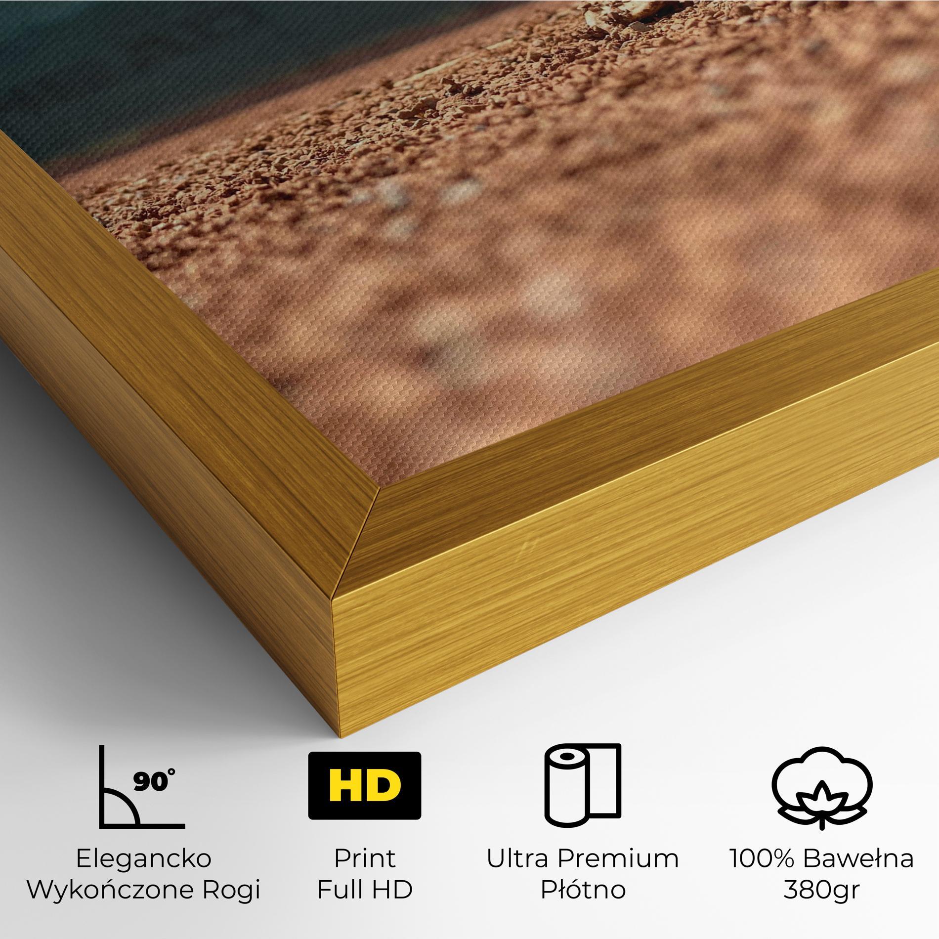 Obraz na Płótnie Lost Tennis Ball mockup 4