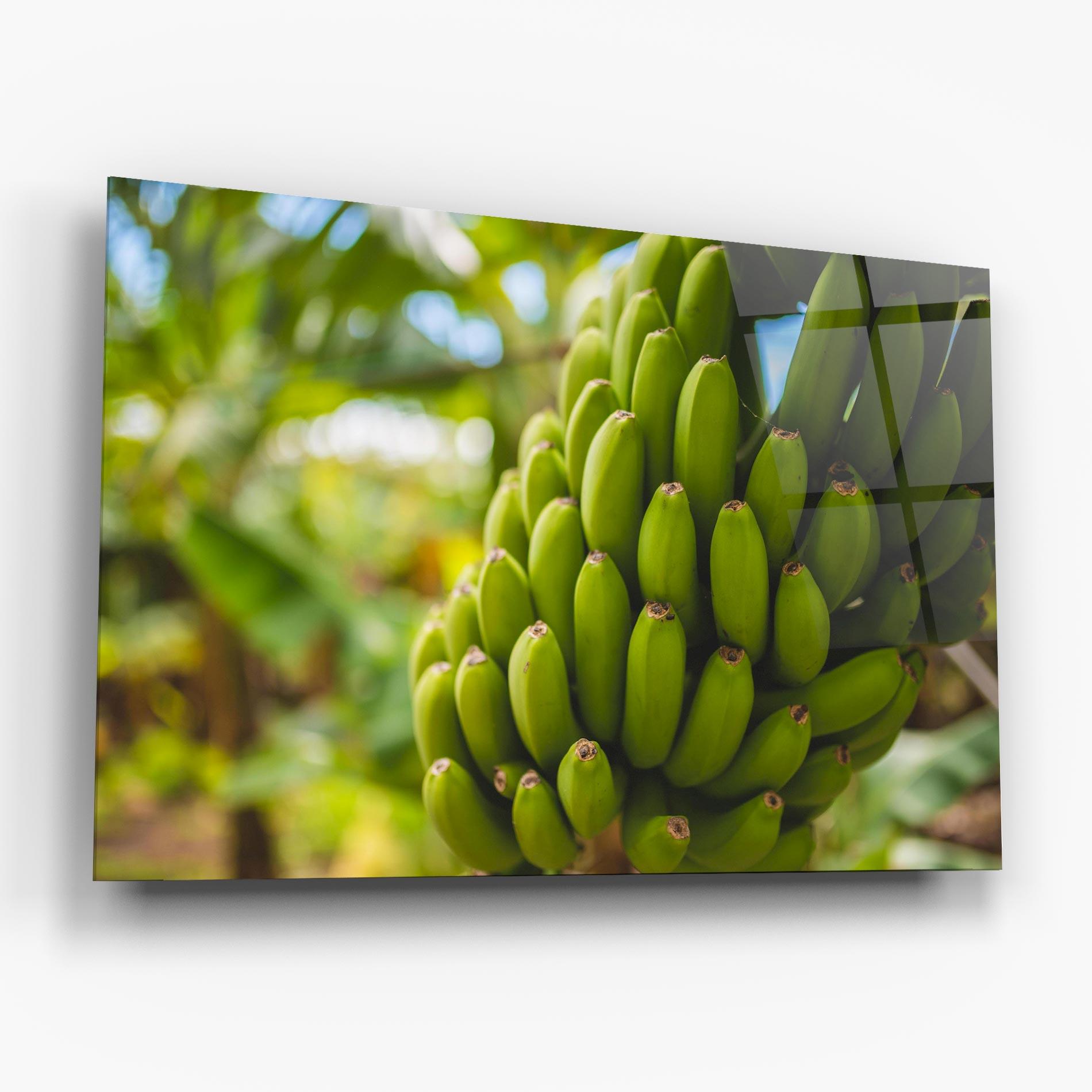 Obraz na Szkle Green Banana mockup 6