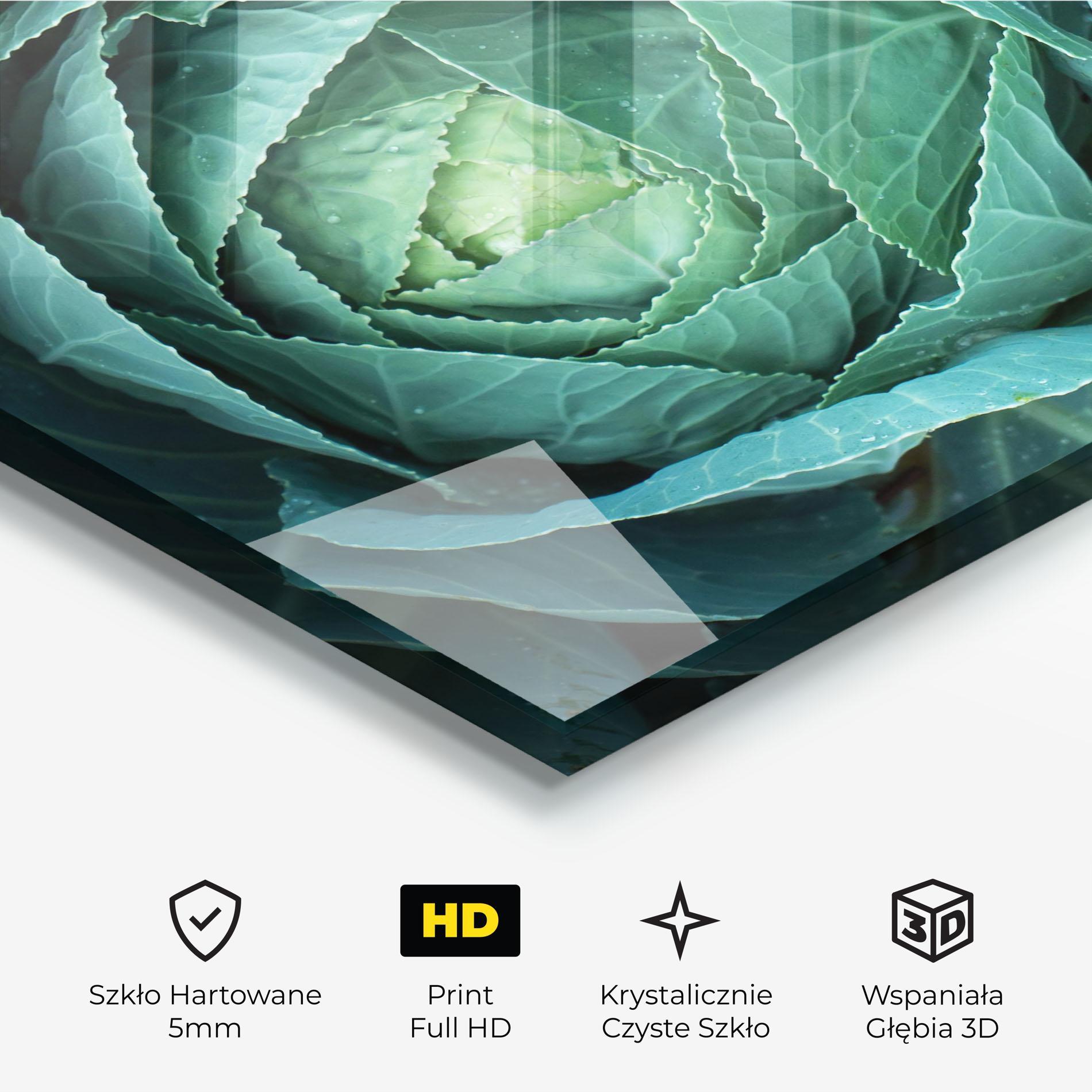 Obraz na Szkle Blue Lettuce mockup 3