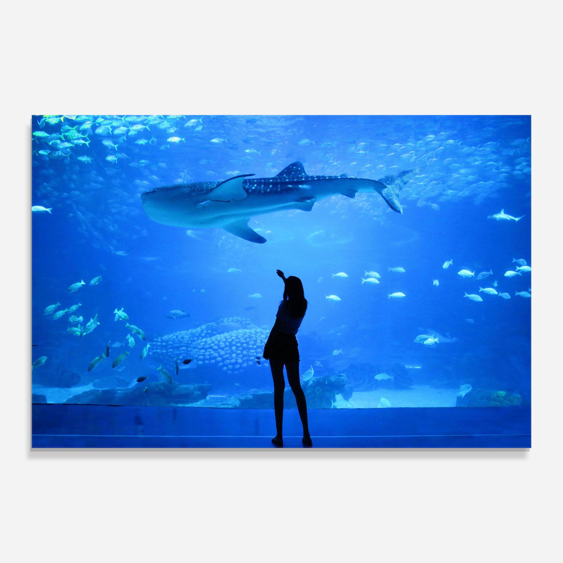 Obraz na Szkle Aquarium Girl mockup 0