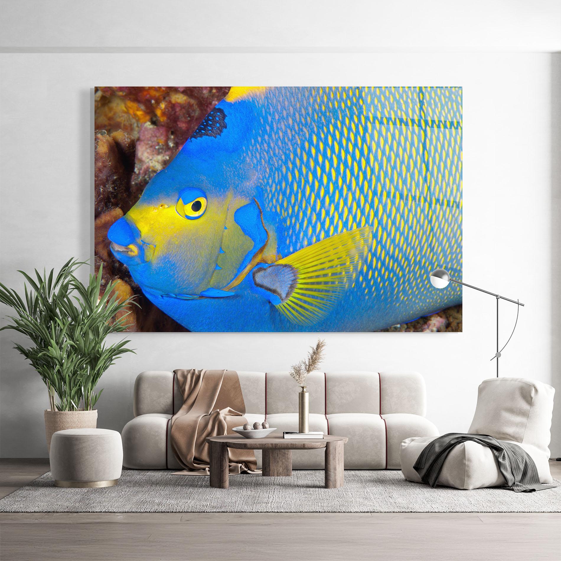Obraz na Szkle Blue Yellow Fish mockup 9