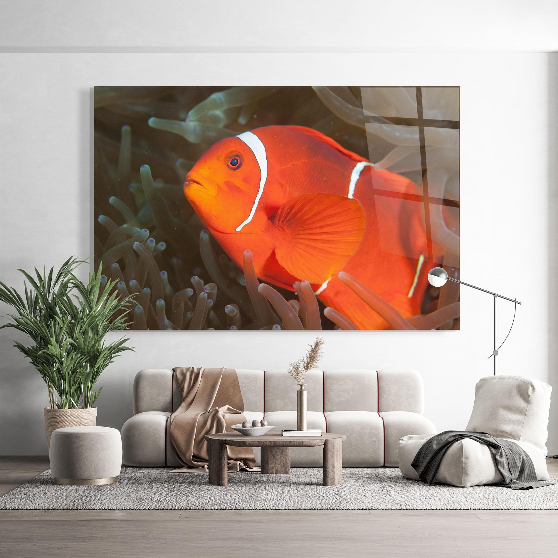 Obraz na Szkle Nemo Clownfish mockup 9