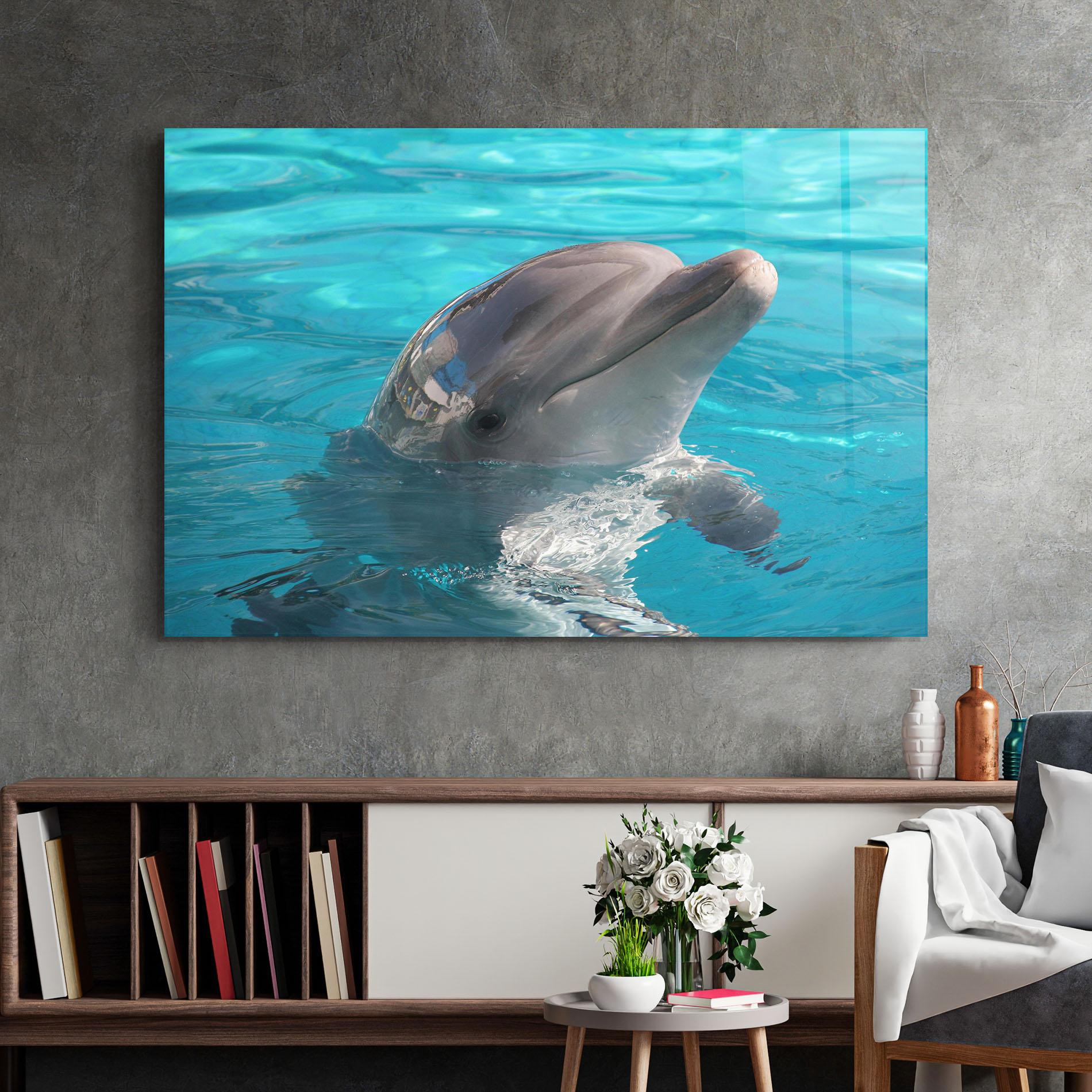 Obraz na Szkle Dolphin Poses mockup 2