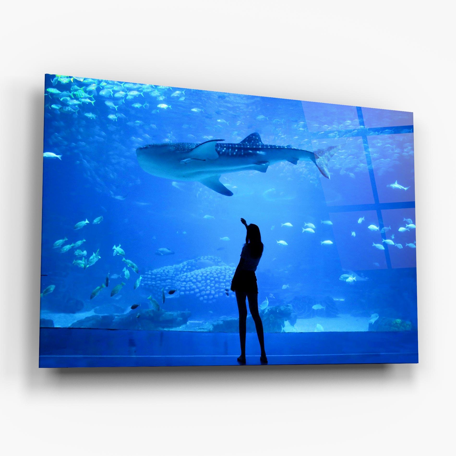 Obraz na Szkle Aquarium Girl mockup 6
