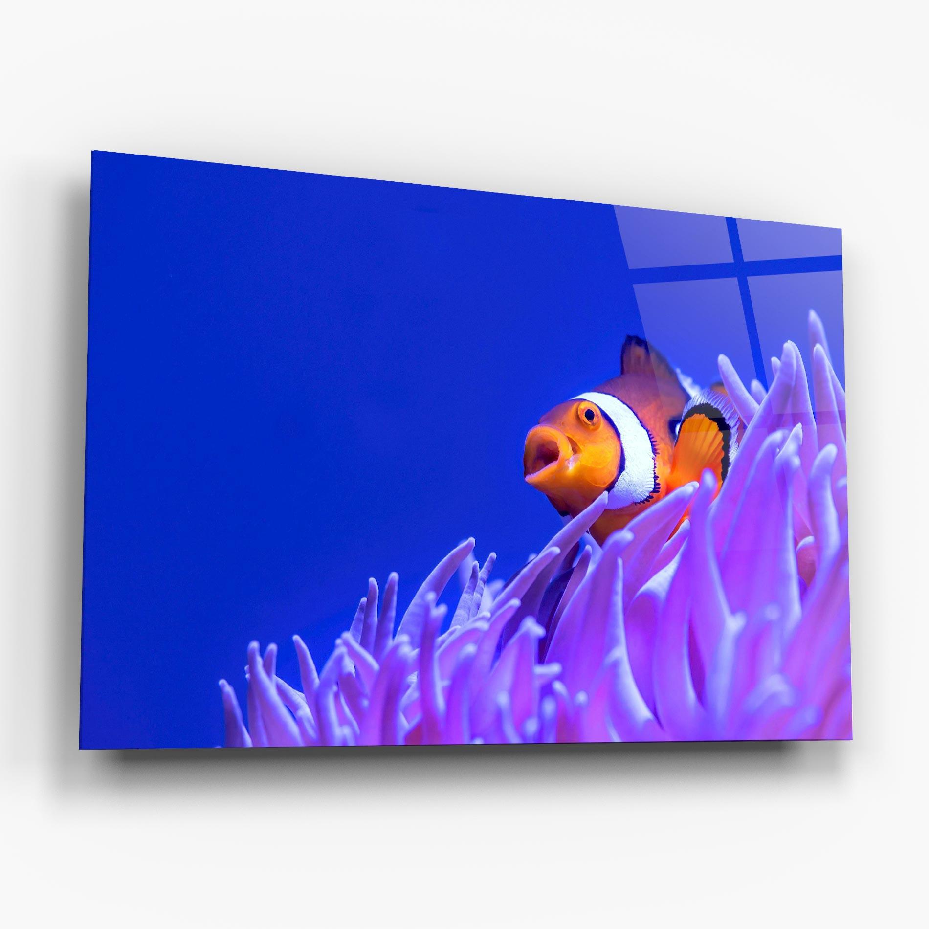 Obraz na Szkle Hungry Nemo mockup 6