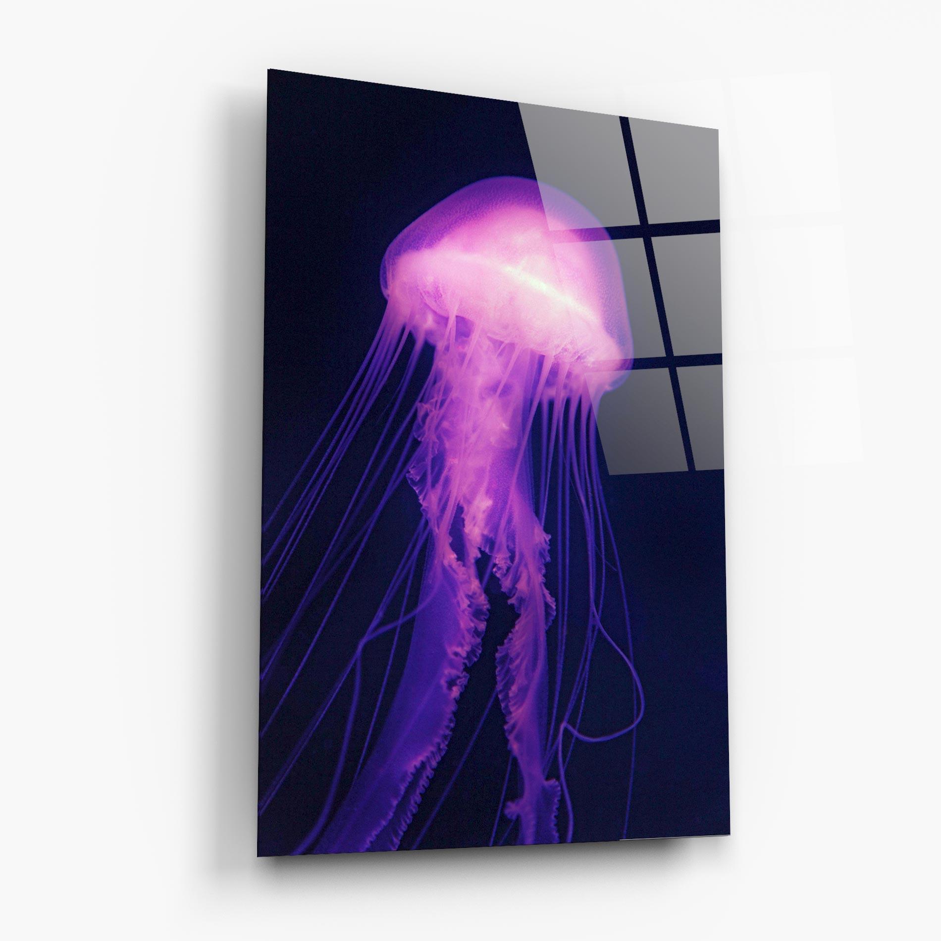 Obraz na Szkle Light Purple Jellyfish mockup 6
