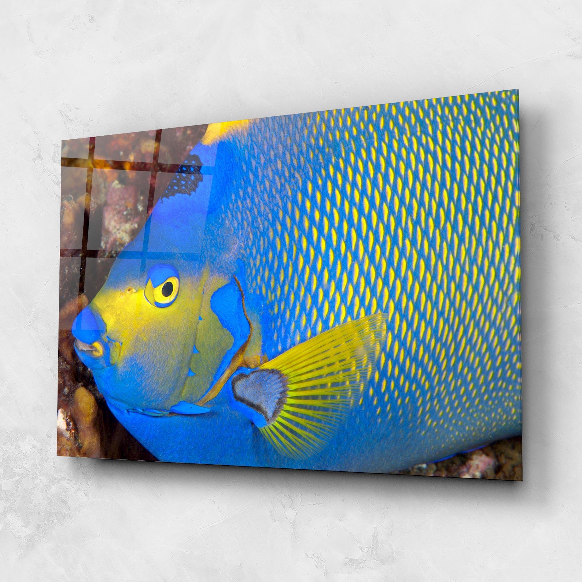 Obraz na Szkle Blue Yellow Fish mockup 1