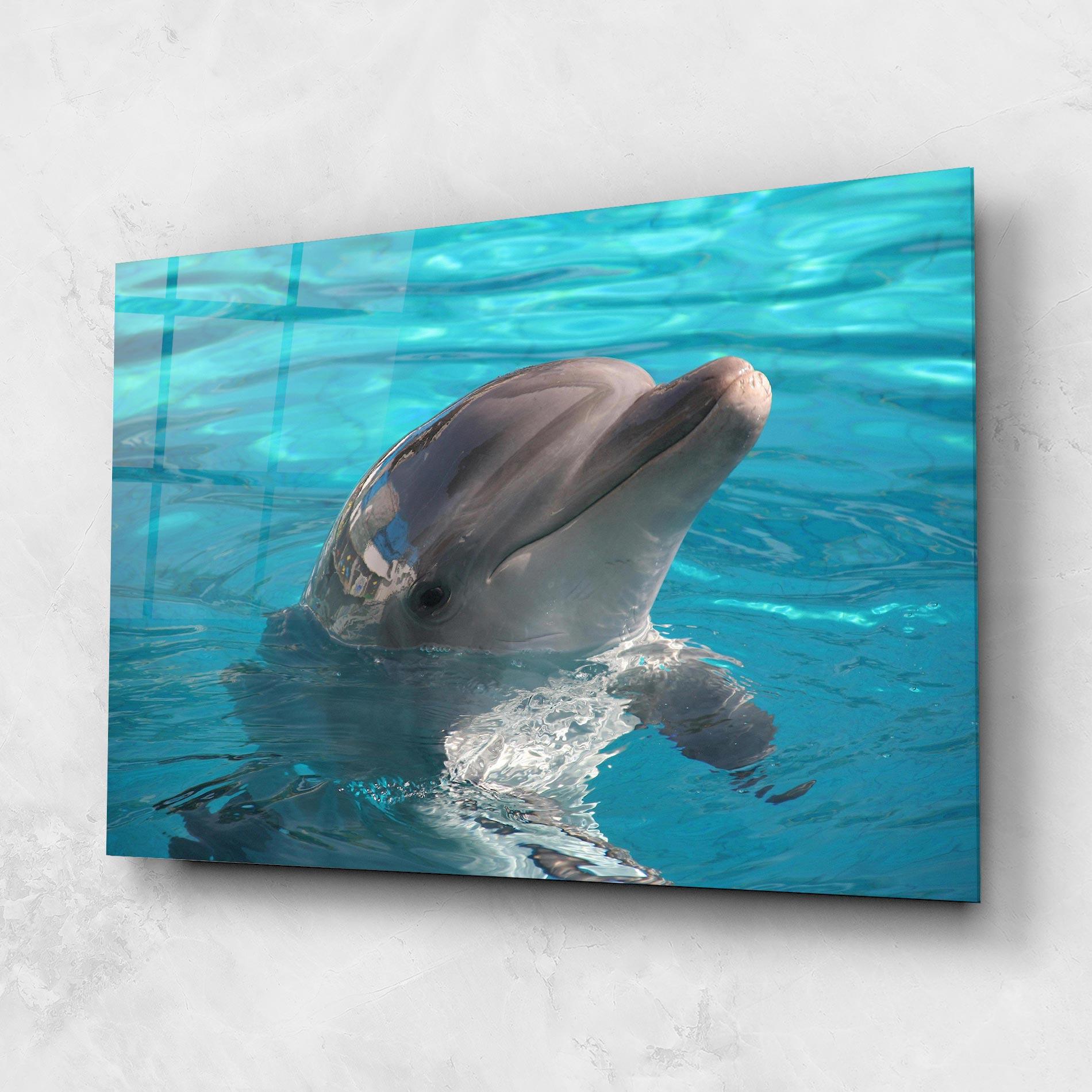Obraz na Szkle Dolphin Poses mockup 1