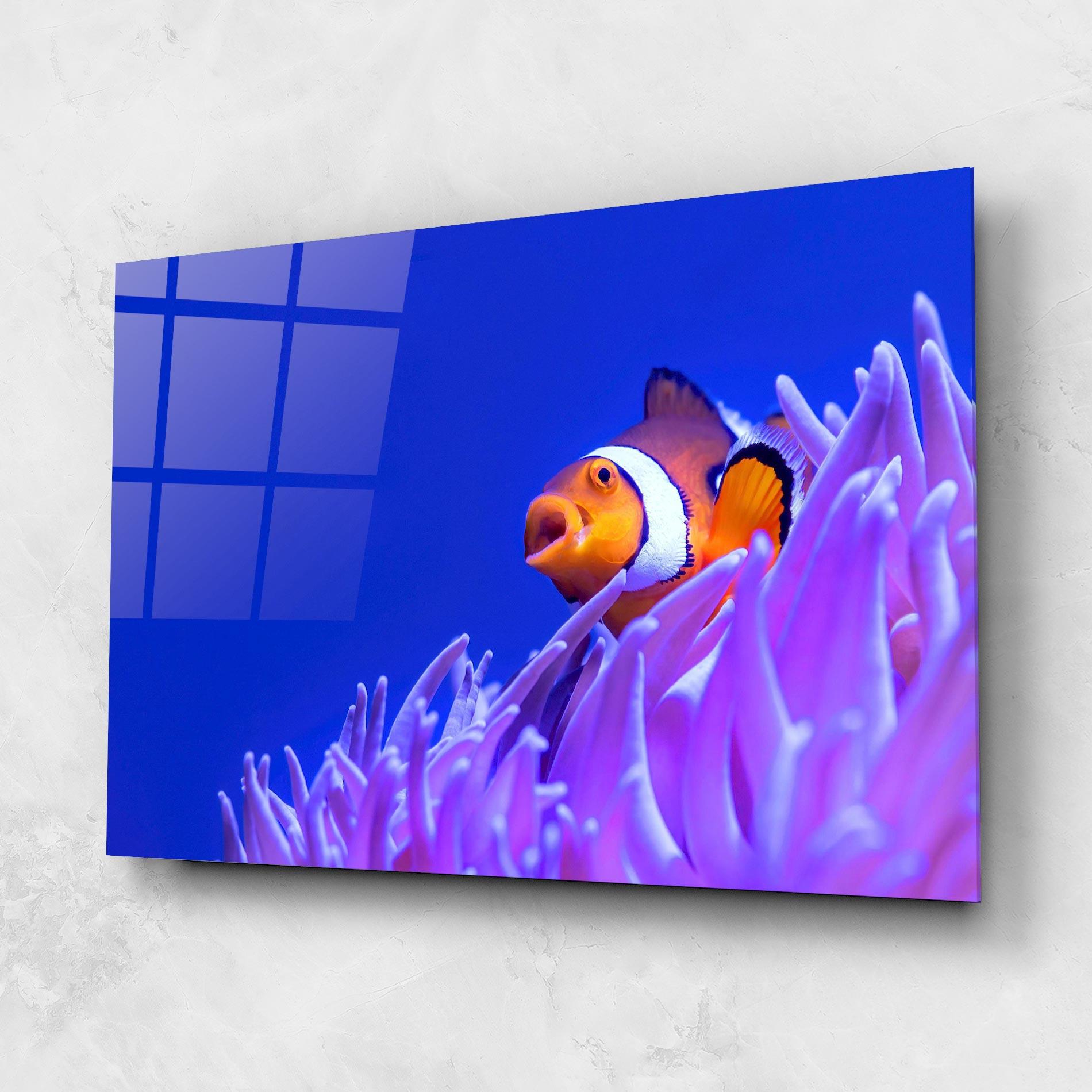 Obraz na Szkle Hungry Nemo mockup 1