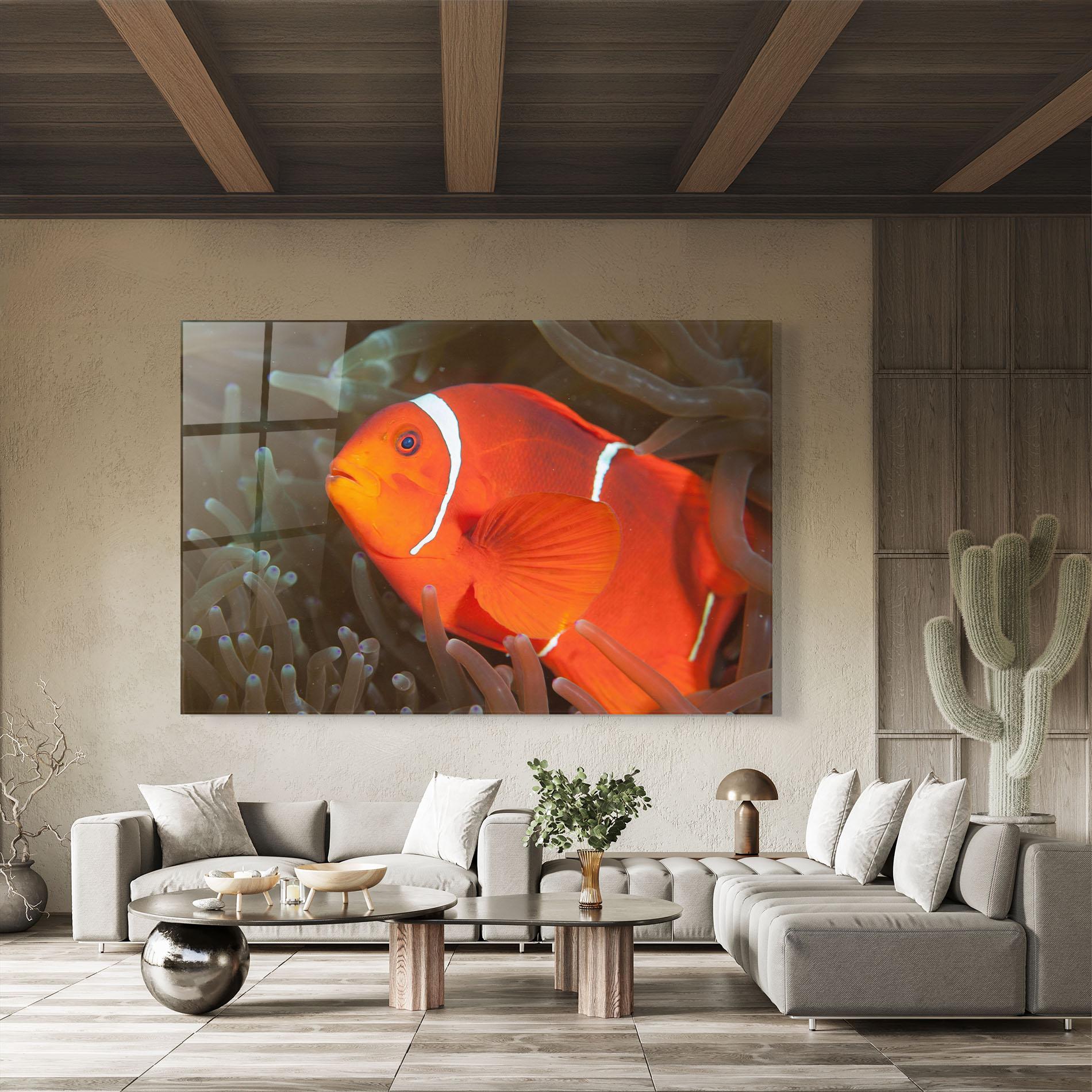 Obraz na Szkle Nemo Clownfish mockup 8