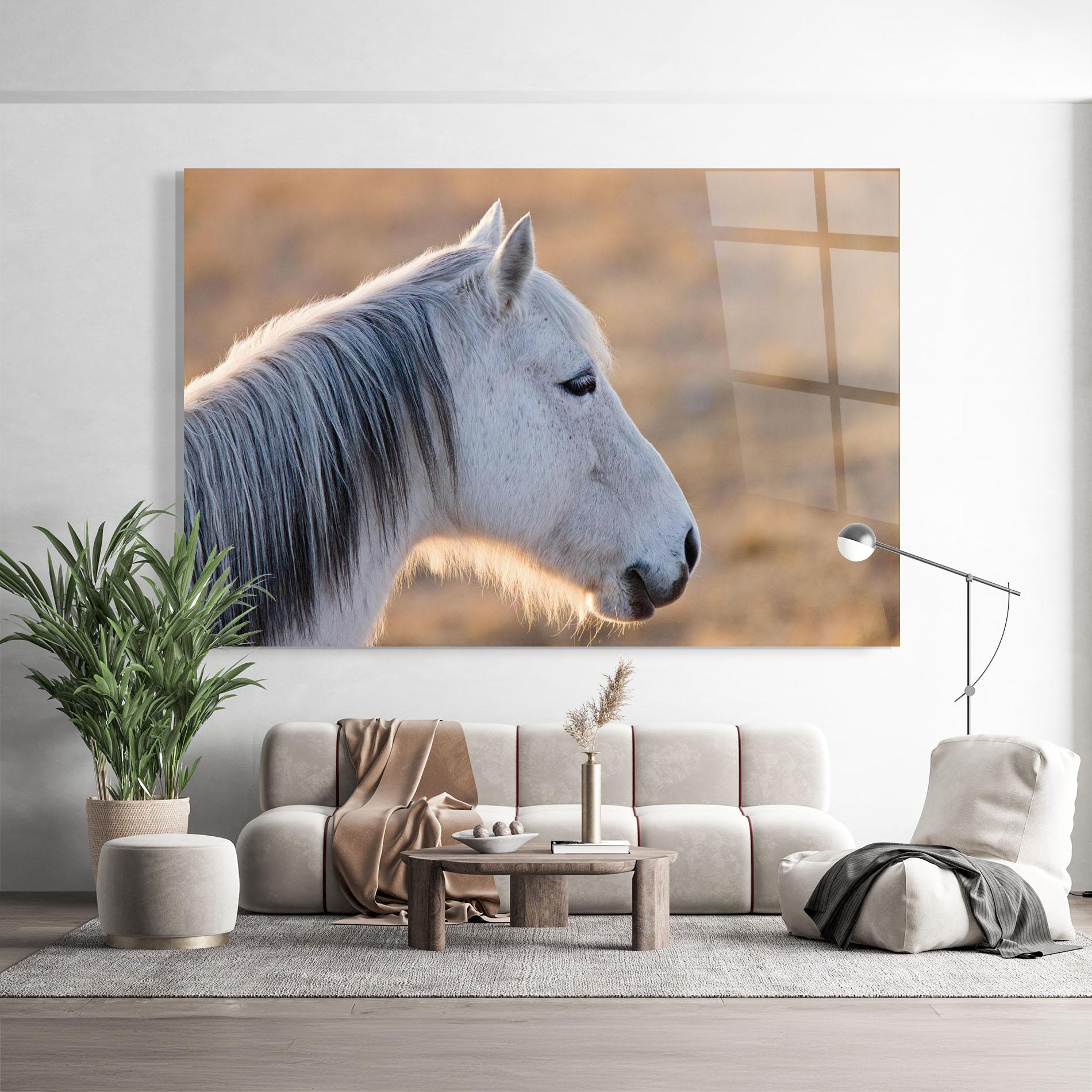 Obraz na Szkle Light Gray Horse Looking mockup 9