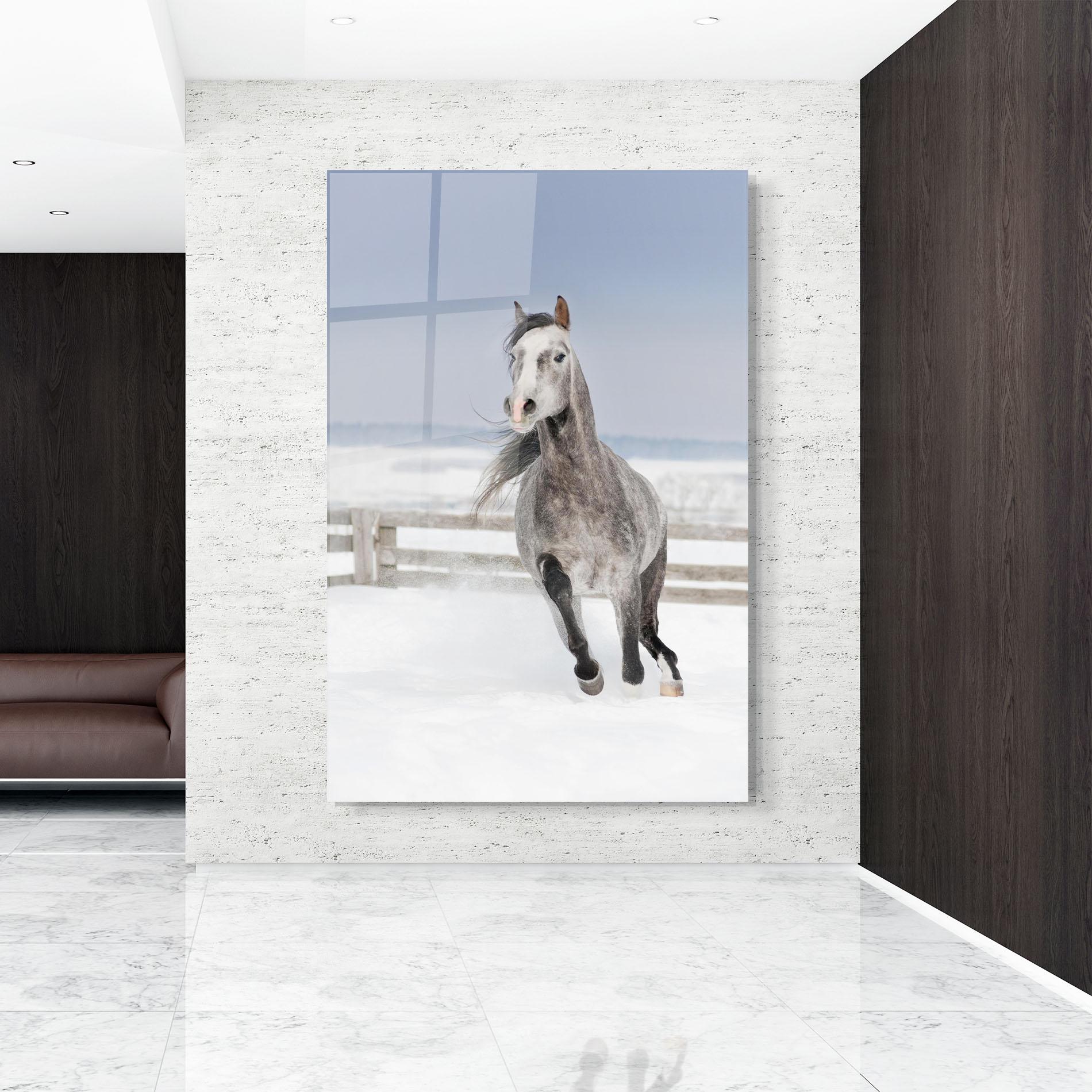 Obraz na Szkle Horse Running Free mockup 9