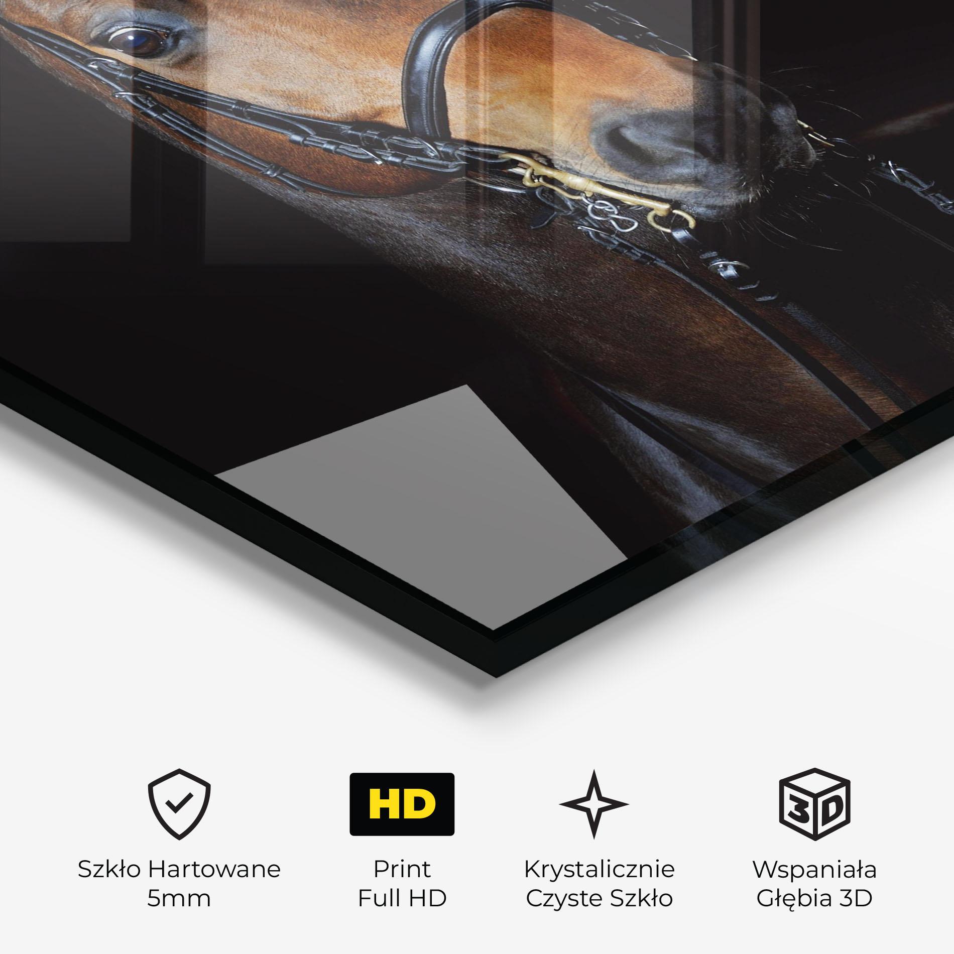 Obraz na Szkle Brown Horse On Black mockup 3