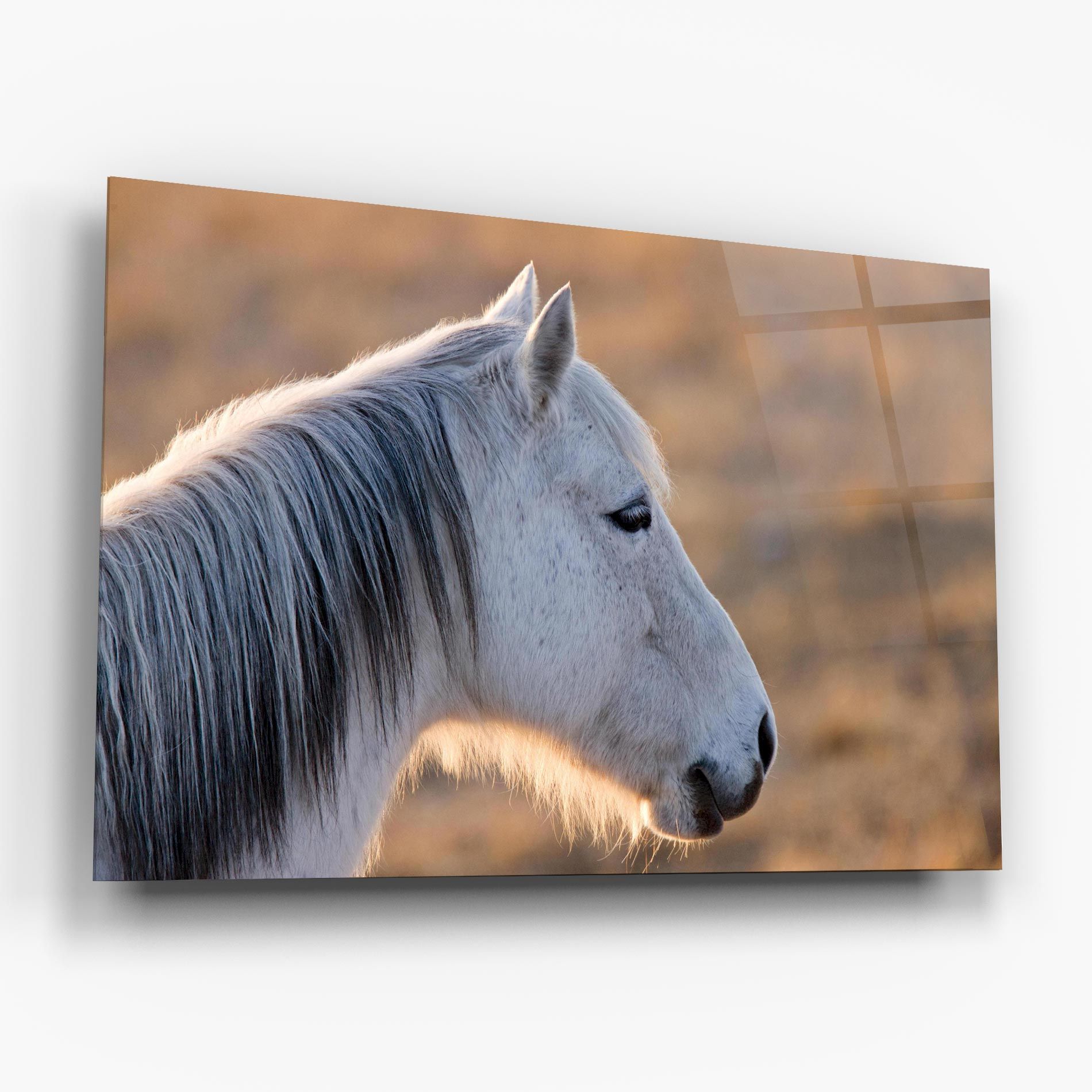 Light Gray Horse Looking mockup 6