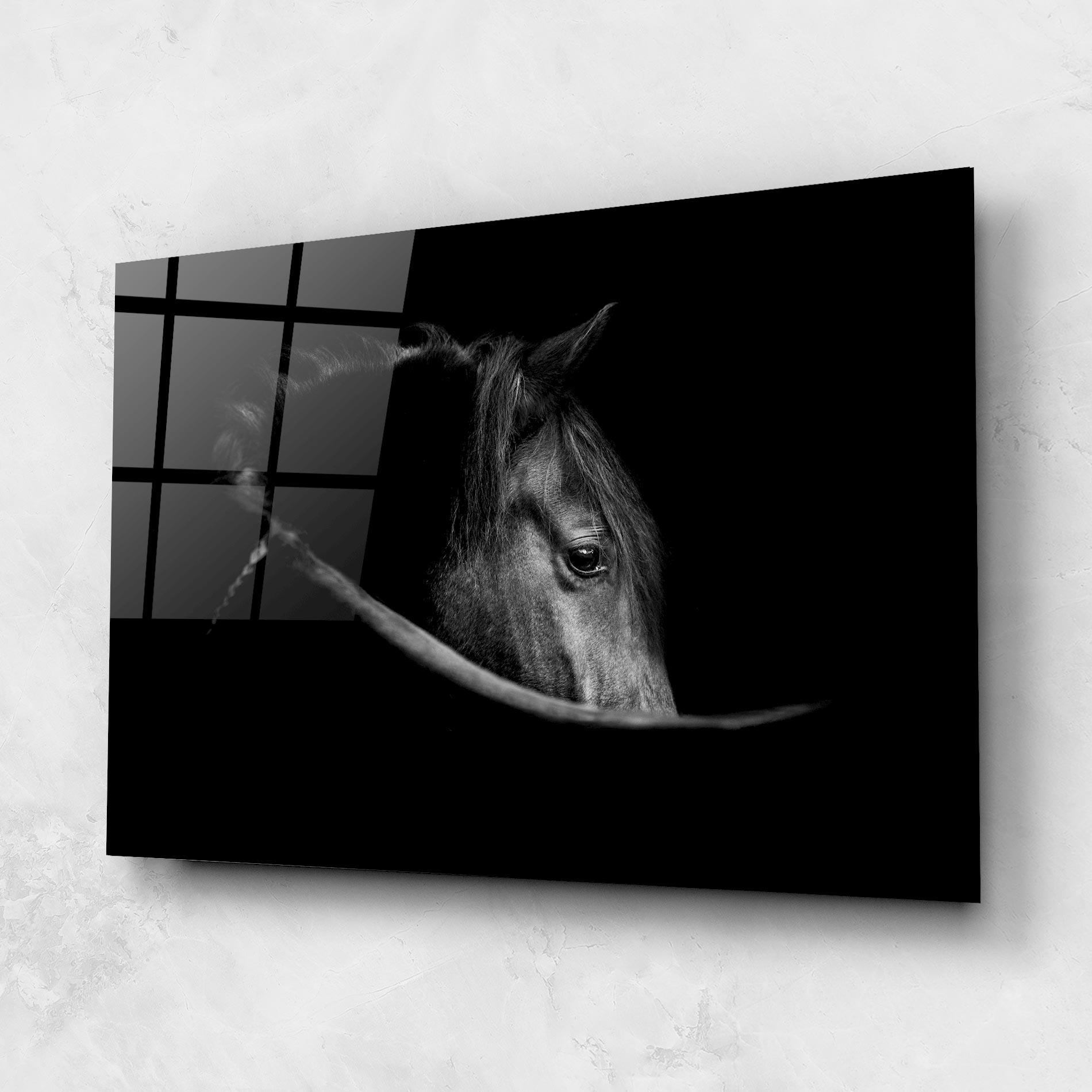 Obraz na Szkle Black Horse Looking mockup 1
