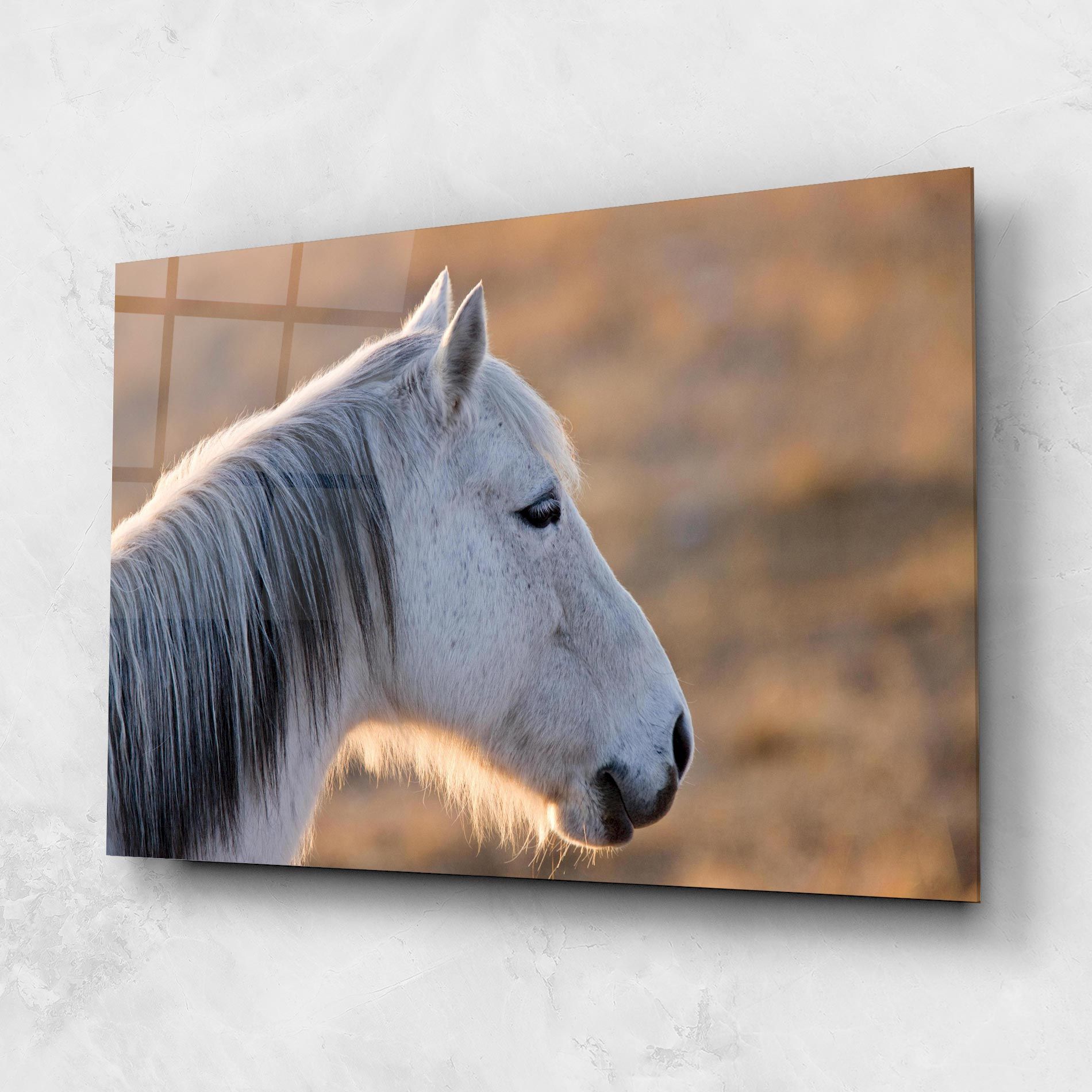 Light Gray Horse Looking mockup 1
