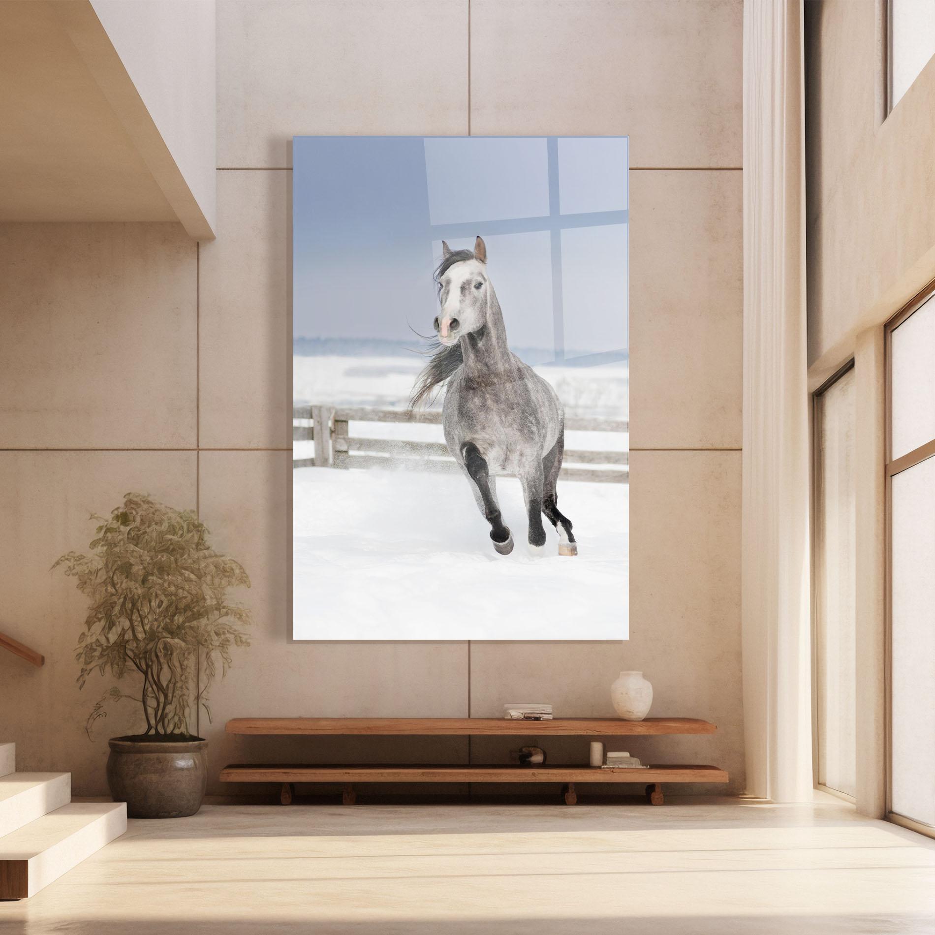 Obraz na Szkle Horse Running Free mockup 8