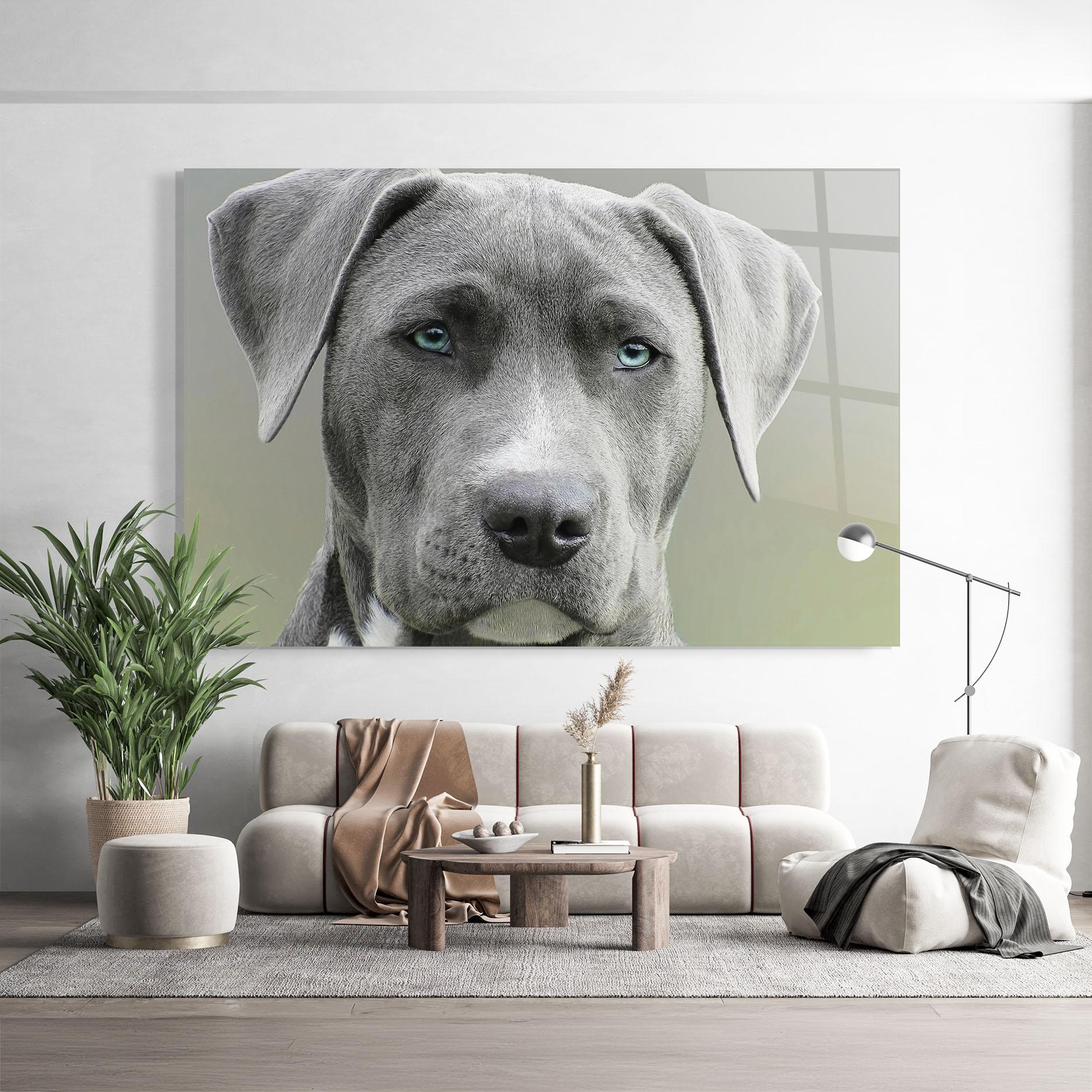 Obraz na Szkle Blue Eyes Dog mockup 9