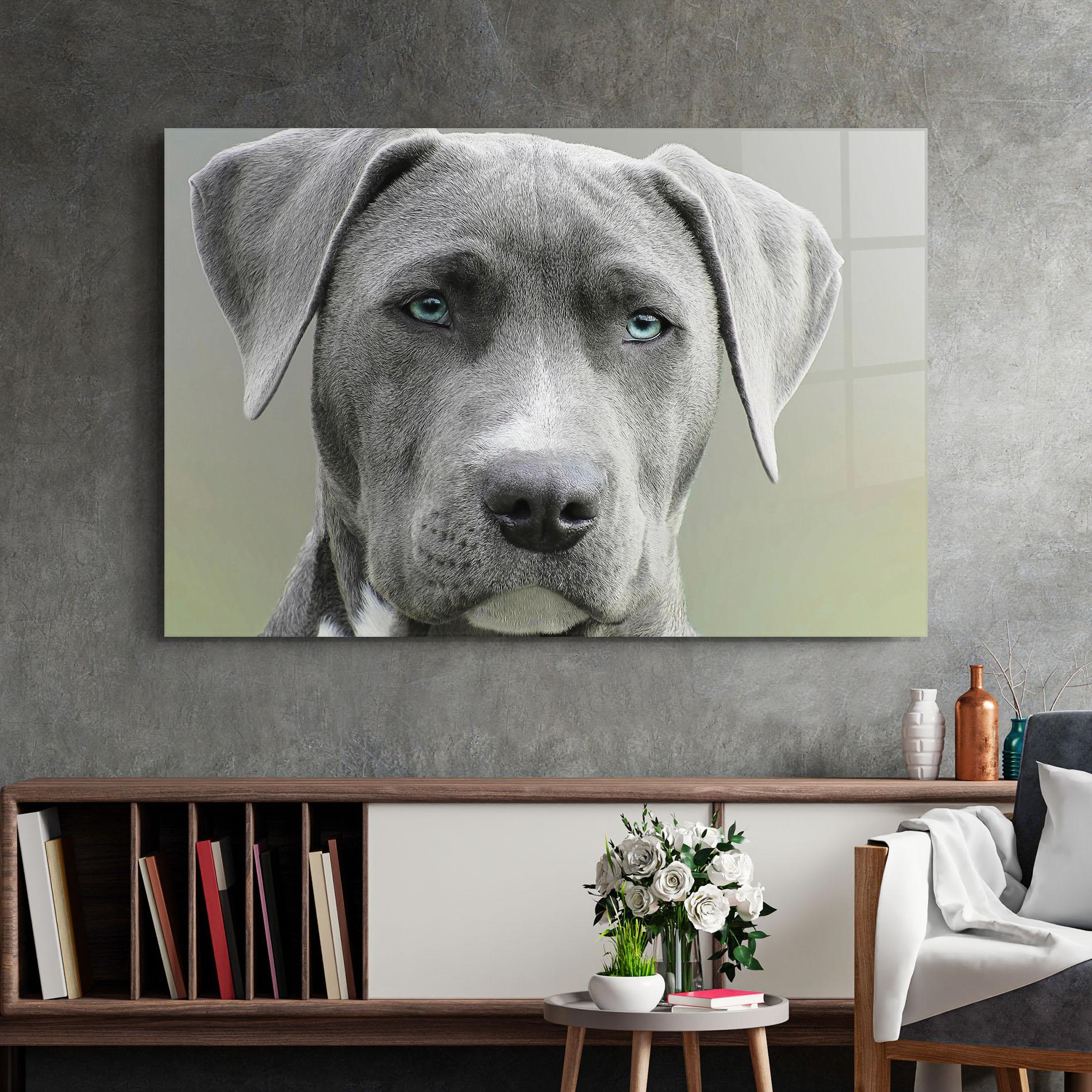 Obraz na Szkle Blue Eyes Dog mockup 2