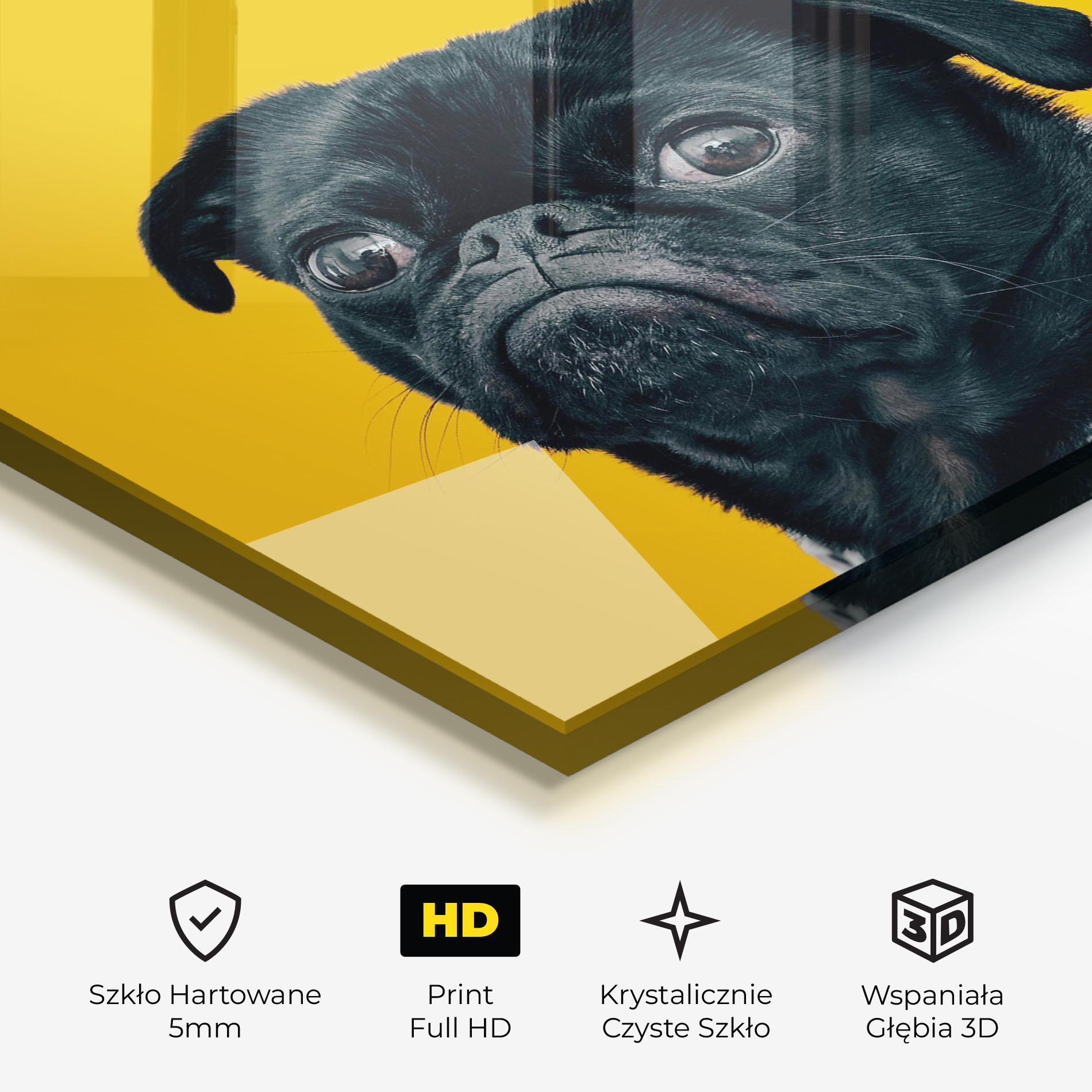Obraz na Szkle Black Pug mockup 3